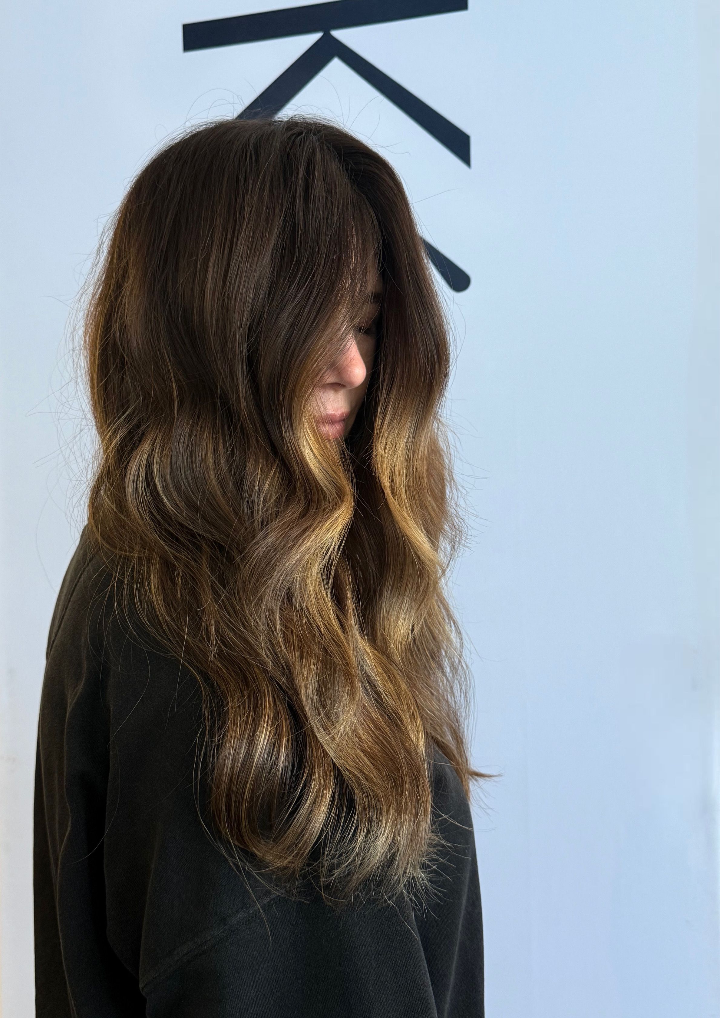 Brianna Crane — Warm Balayage ONESHOT Hair Awards entry