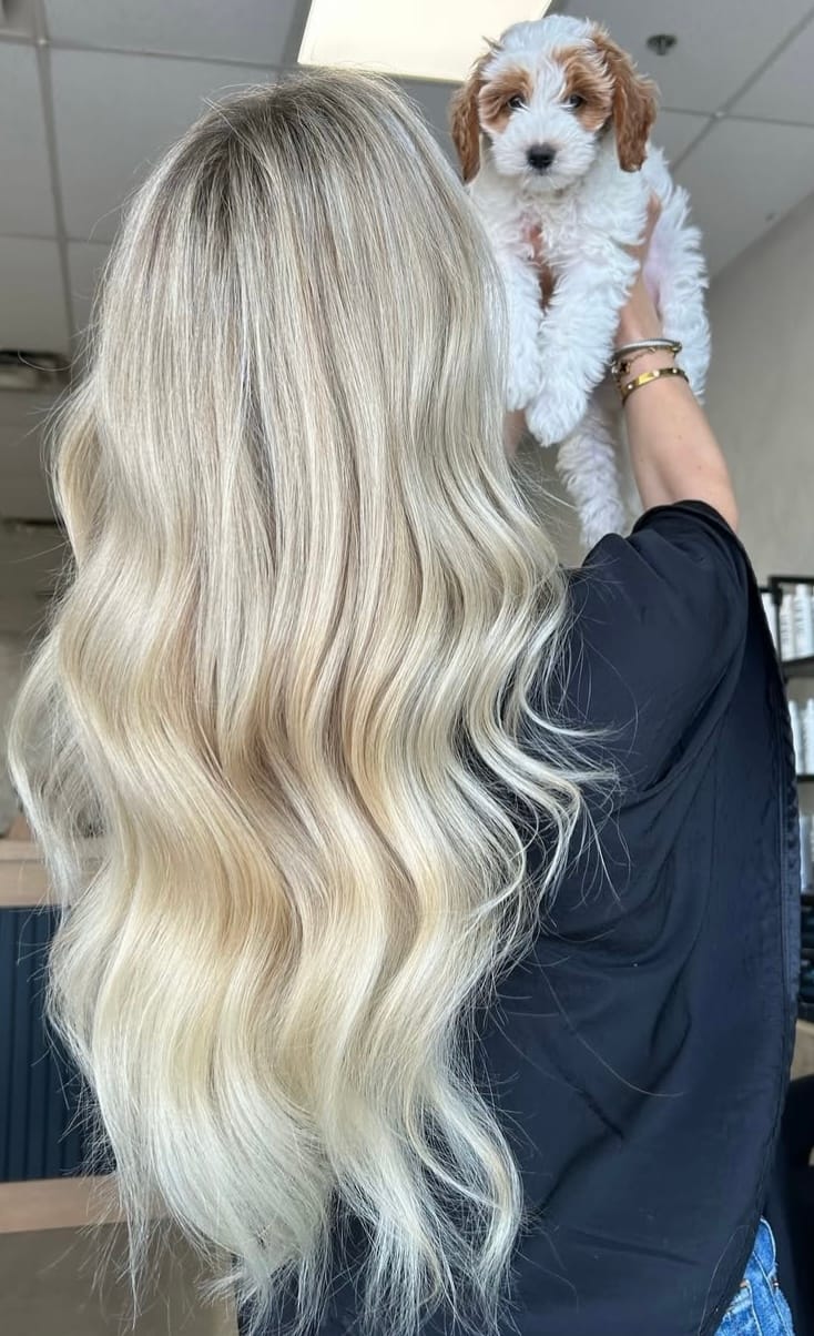 Shelby Dominguez — Blondes ONESHOT Hair Awards entry