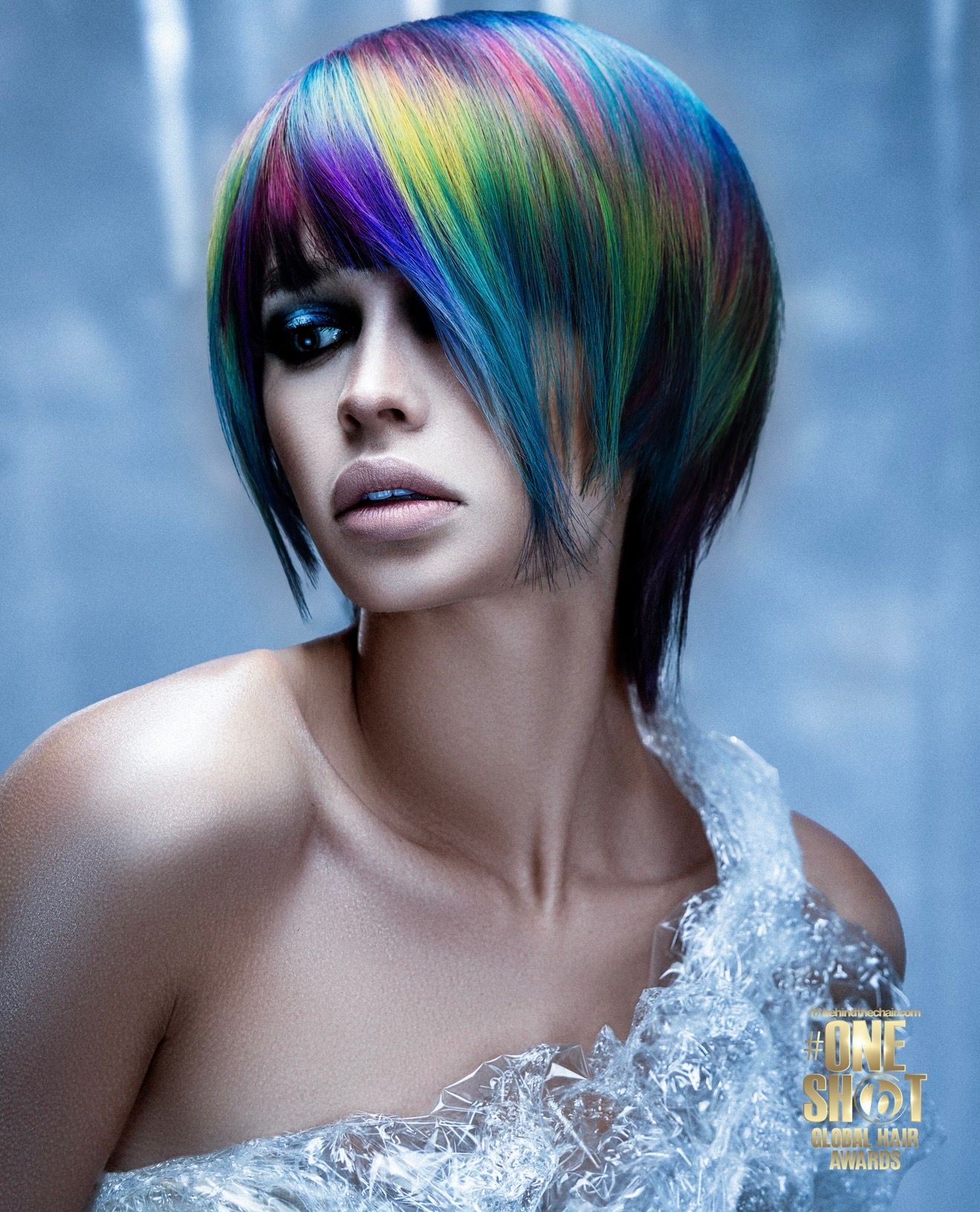 Karine Belanger — Hair Color Shot ONESHOT Hair Awards entry