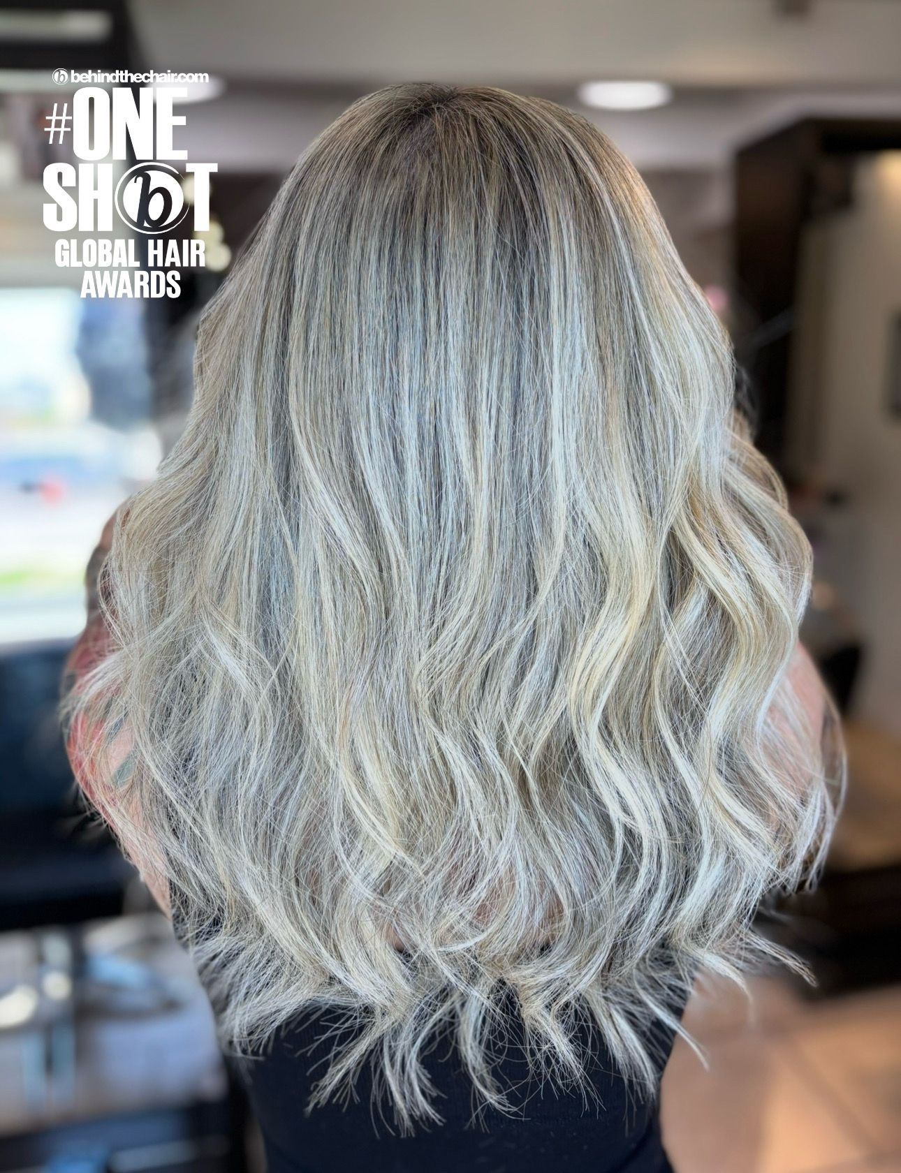 Briesha Hidalgo-Diaz — Platinum ONESHOT Hair Awards entry