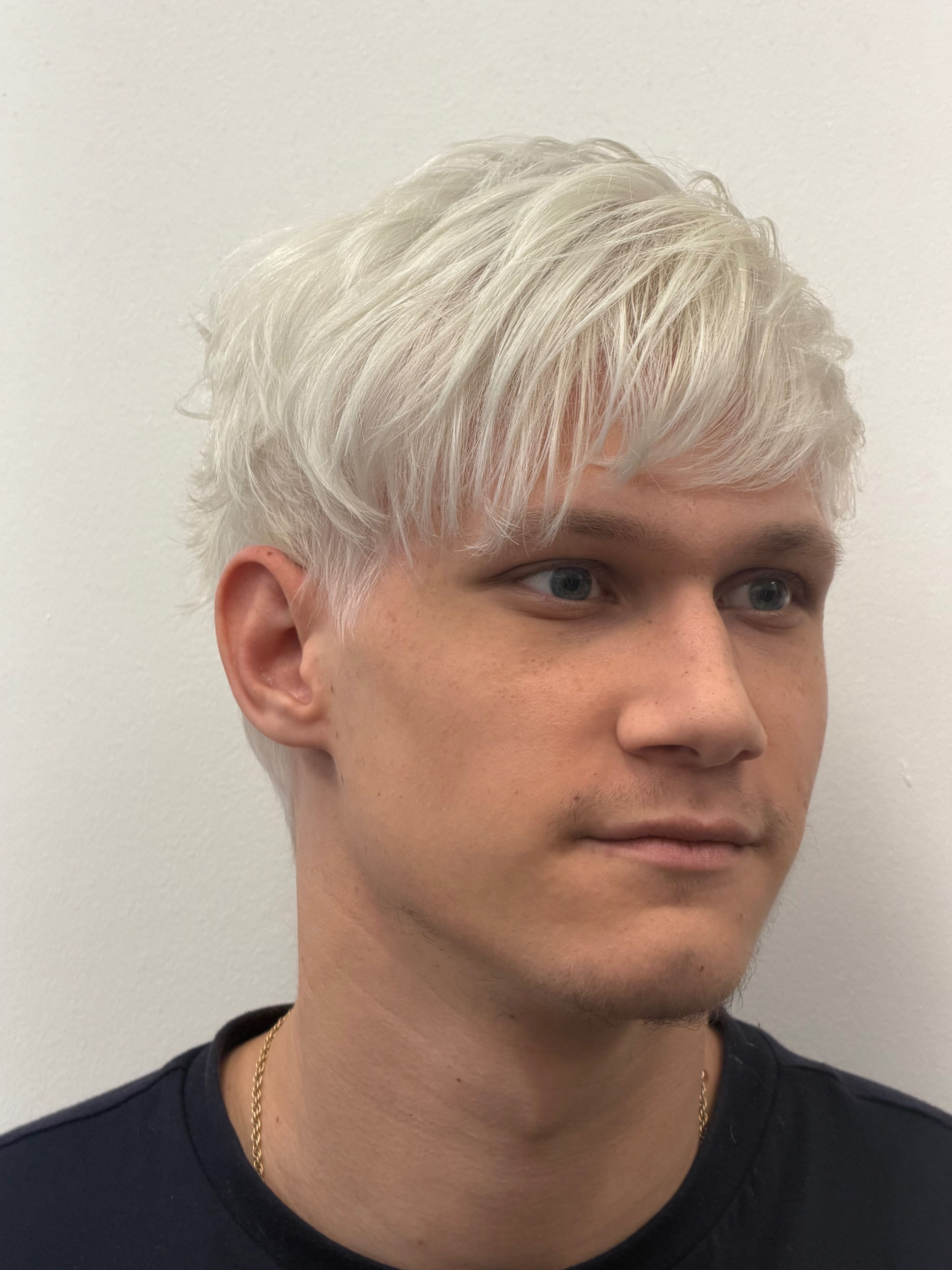 Vivian Polimeni — Platinum ONESHOT Hair Awards entry