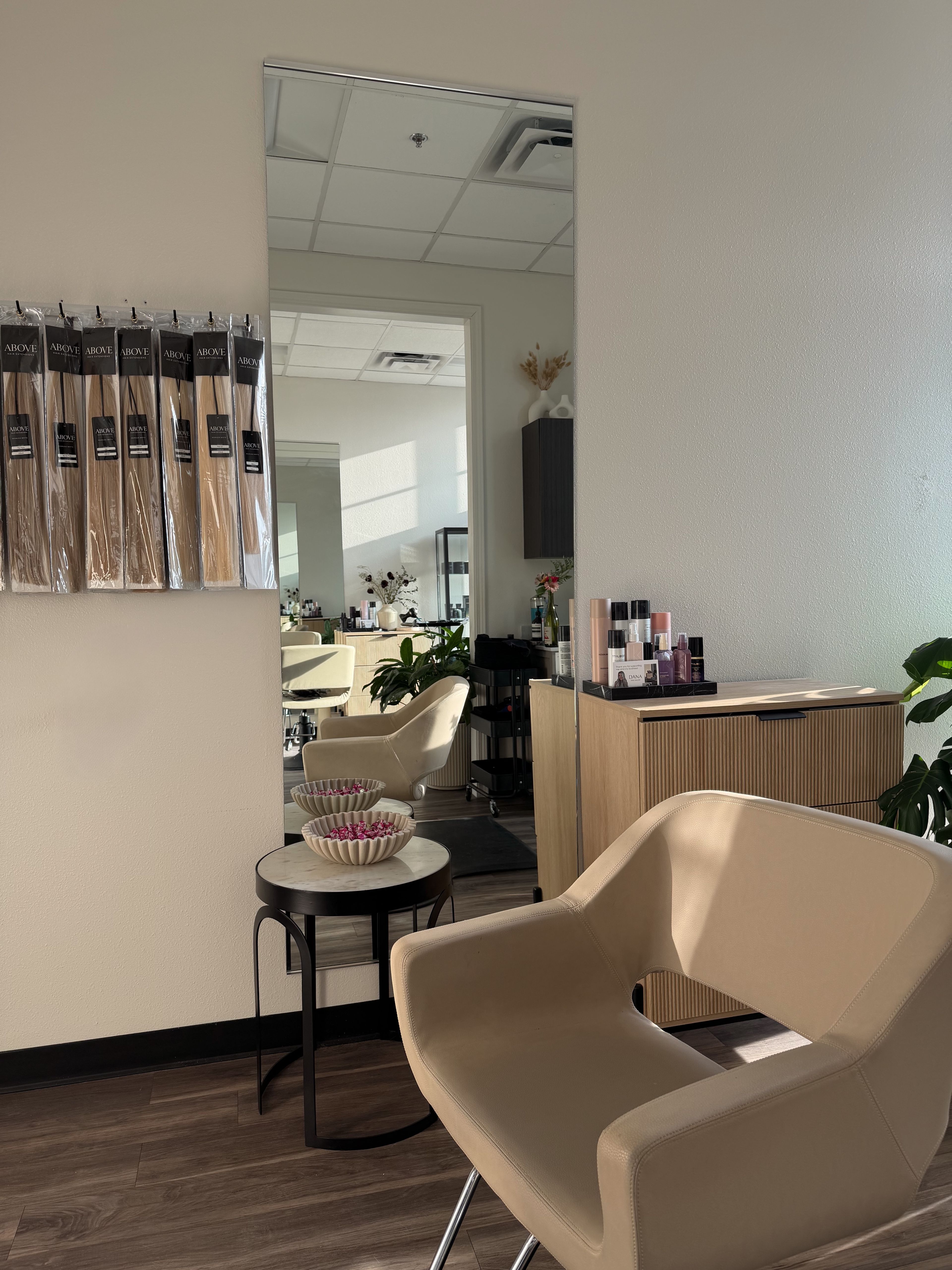 Dana Milicevic — Suite Decor ONESHOT Hair Awards entry