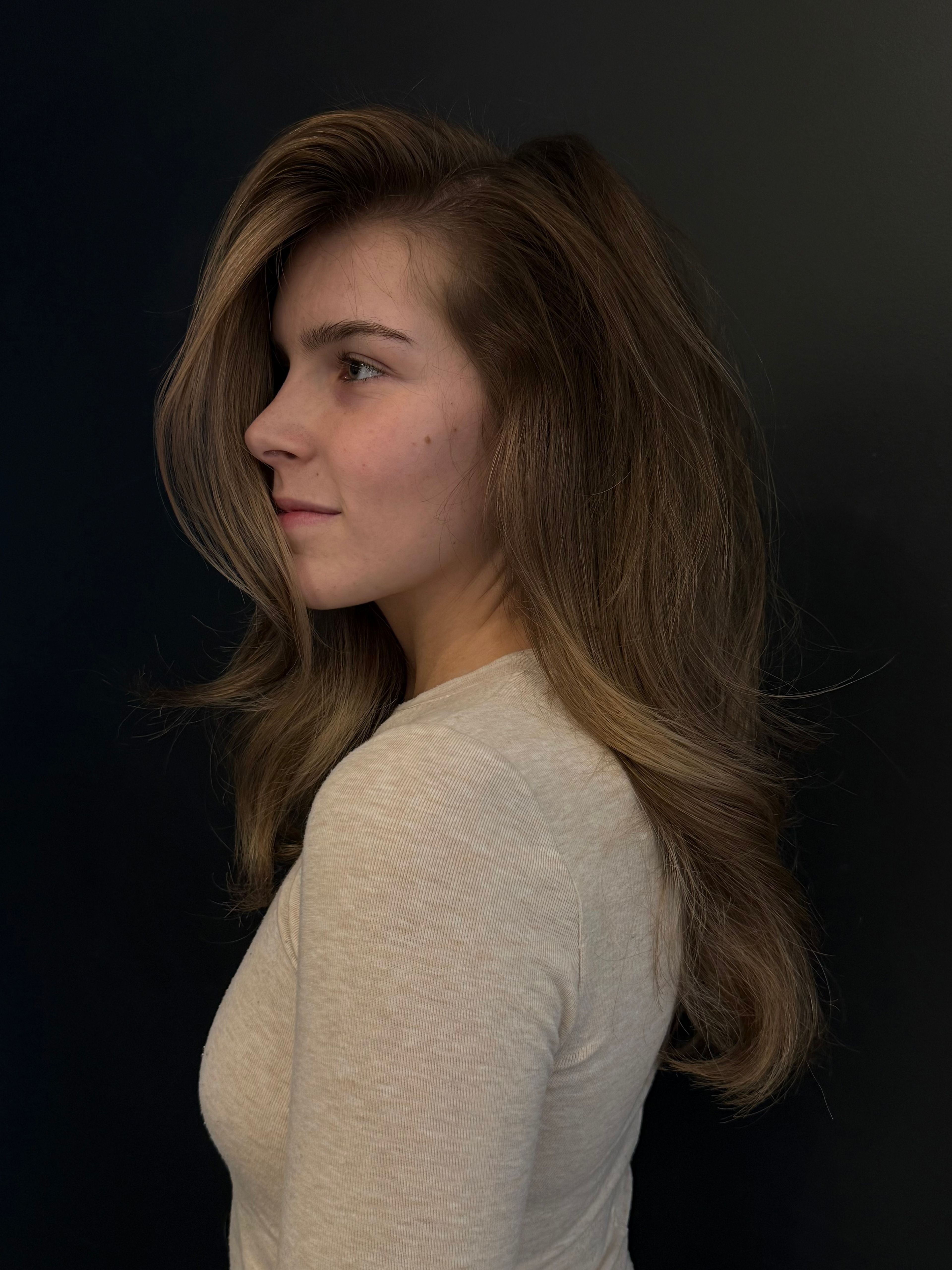 Brianna Crane — Brunettes ONESHOT Hair Awards entry