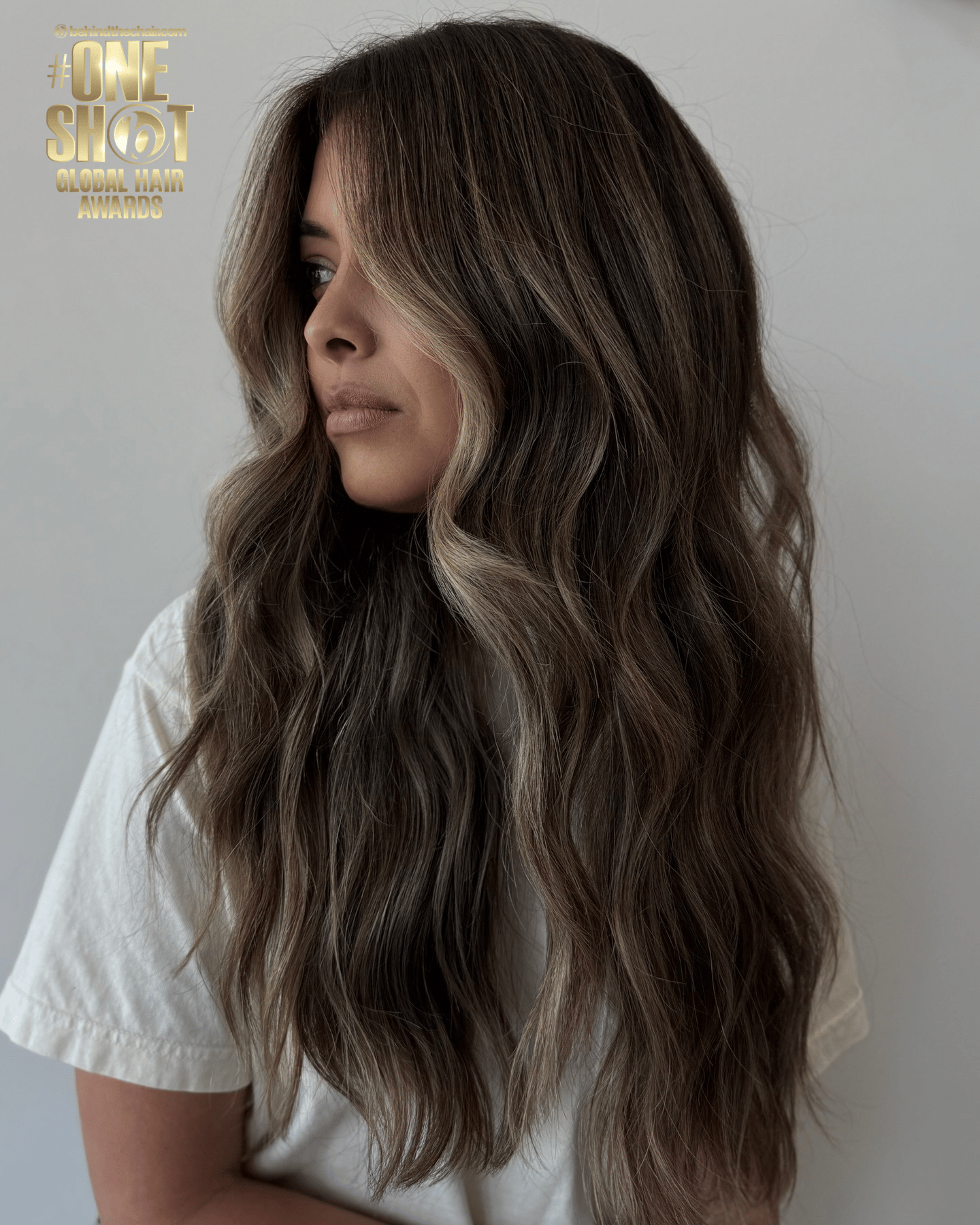 Meg Maenius — Brunettes ONESHOT Hair Awards entry