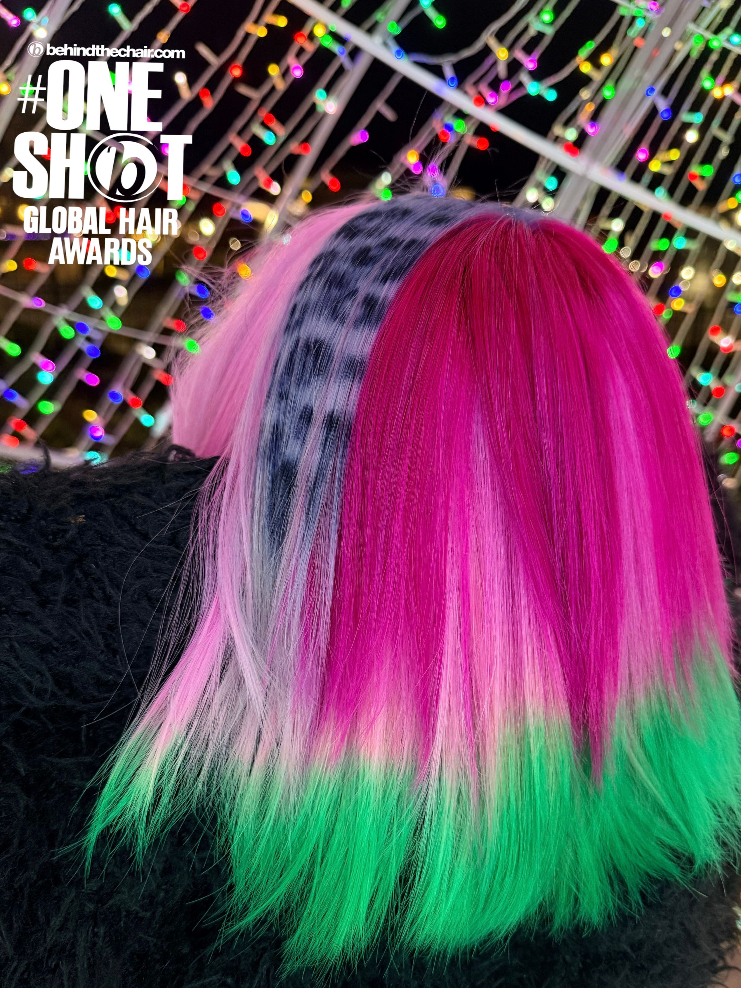 Shae Johnson — Creative Color ONESHOT Hair Awards entry