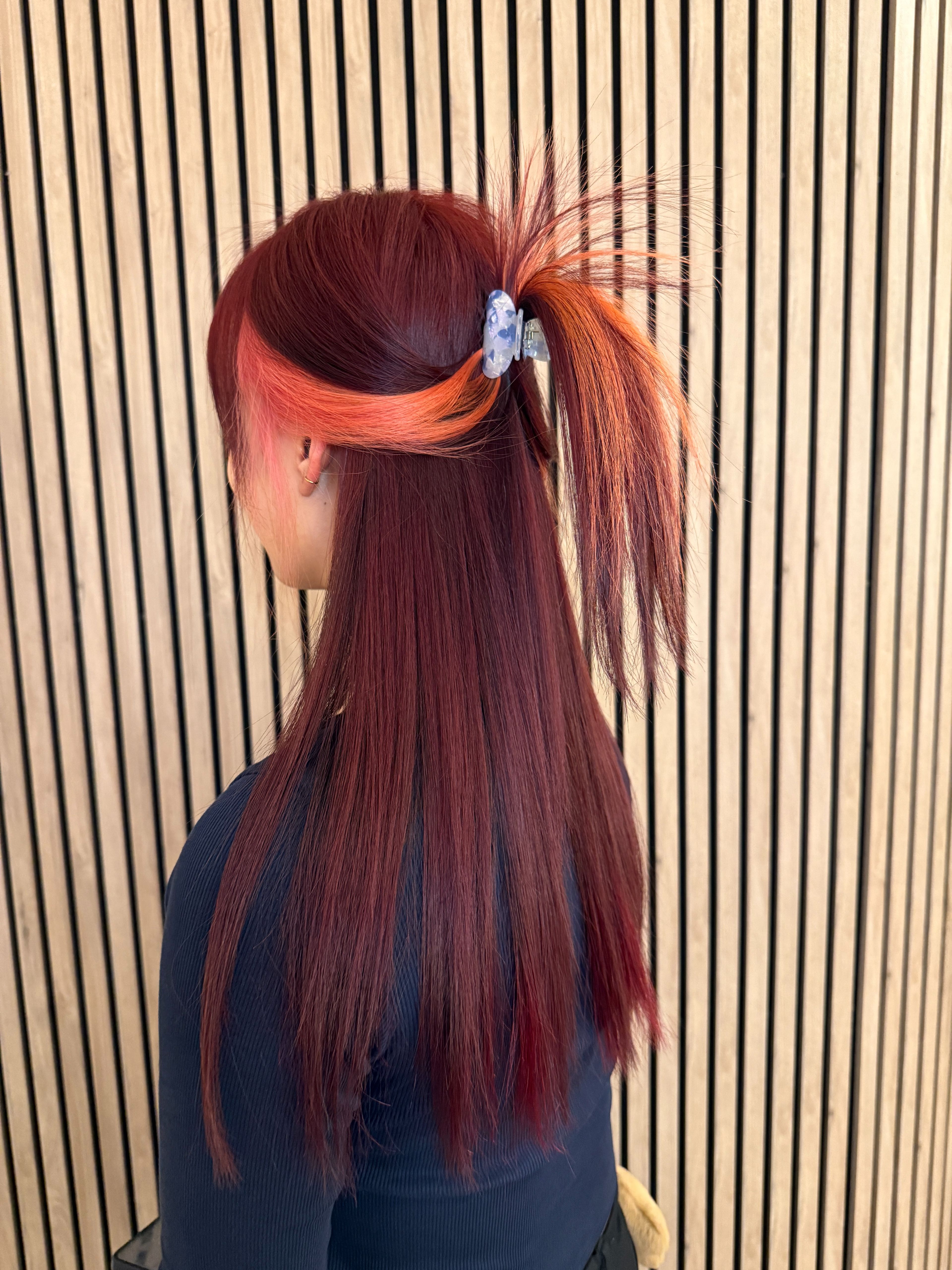 Ingrid Fossum — Color Blocking ONESHOT Hair Awards entry