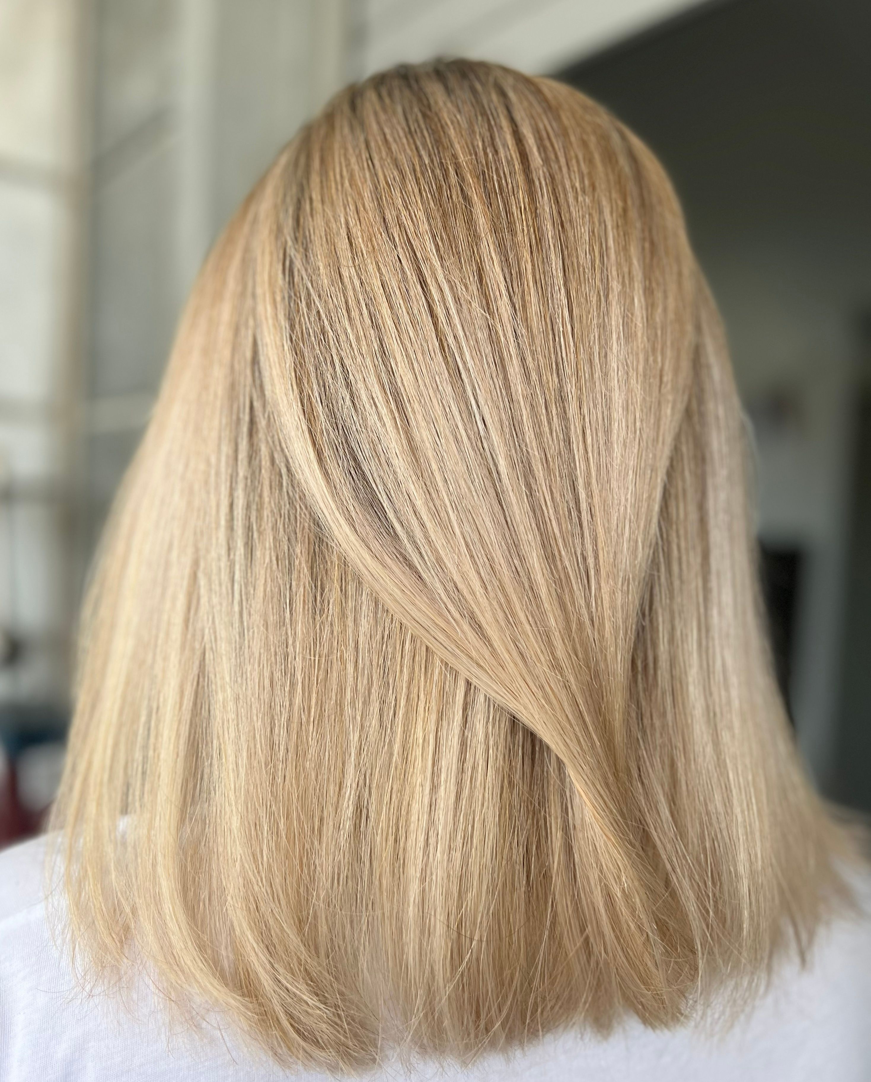Elena Gendelev — Warm Balayage ONESHOT Hair Awards entry