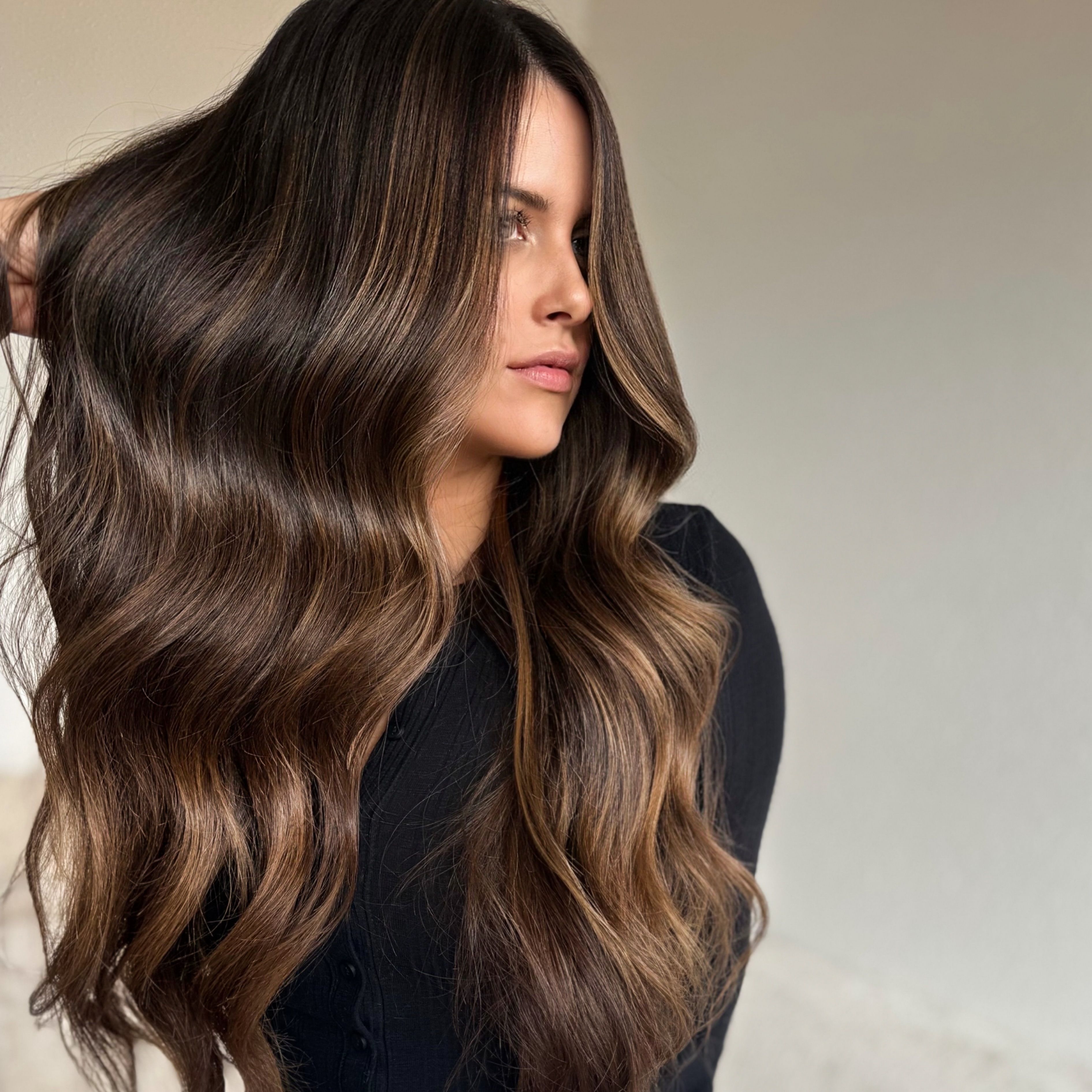 Ashley Travalini — Brunettes ONESHOT Hair Awards entry