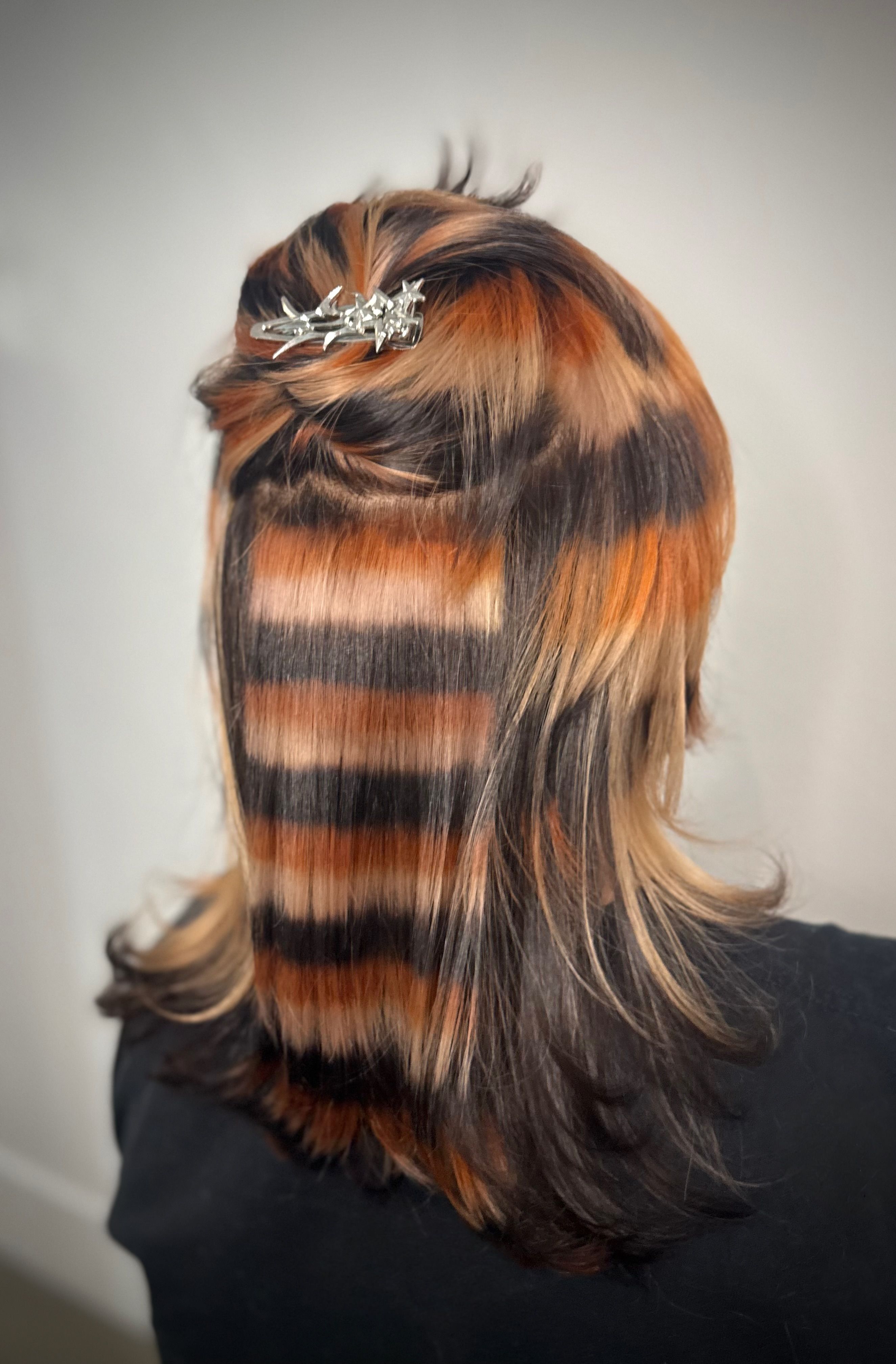 Evelyn Clubb — Color Blocking ONESHOT Hair Awards entry
