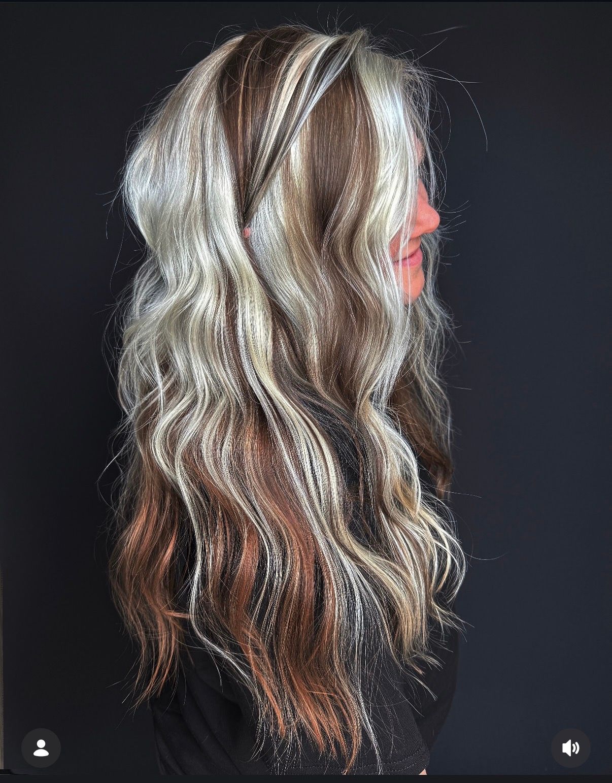Erica Webb — Color Blocking ONESHOT Hair Awards entry