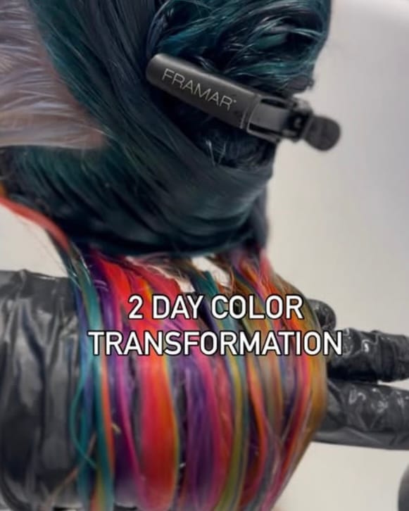 Sydney Wieland — Color Education Video ONESHOT Hair Awards entry