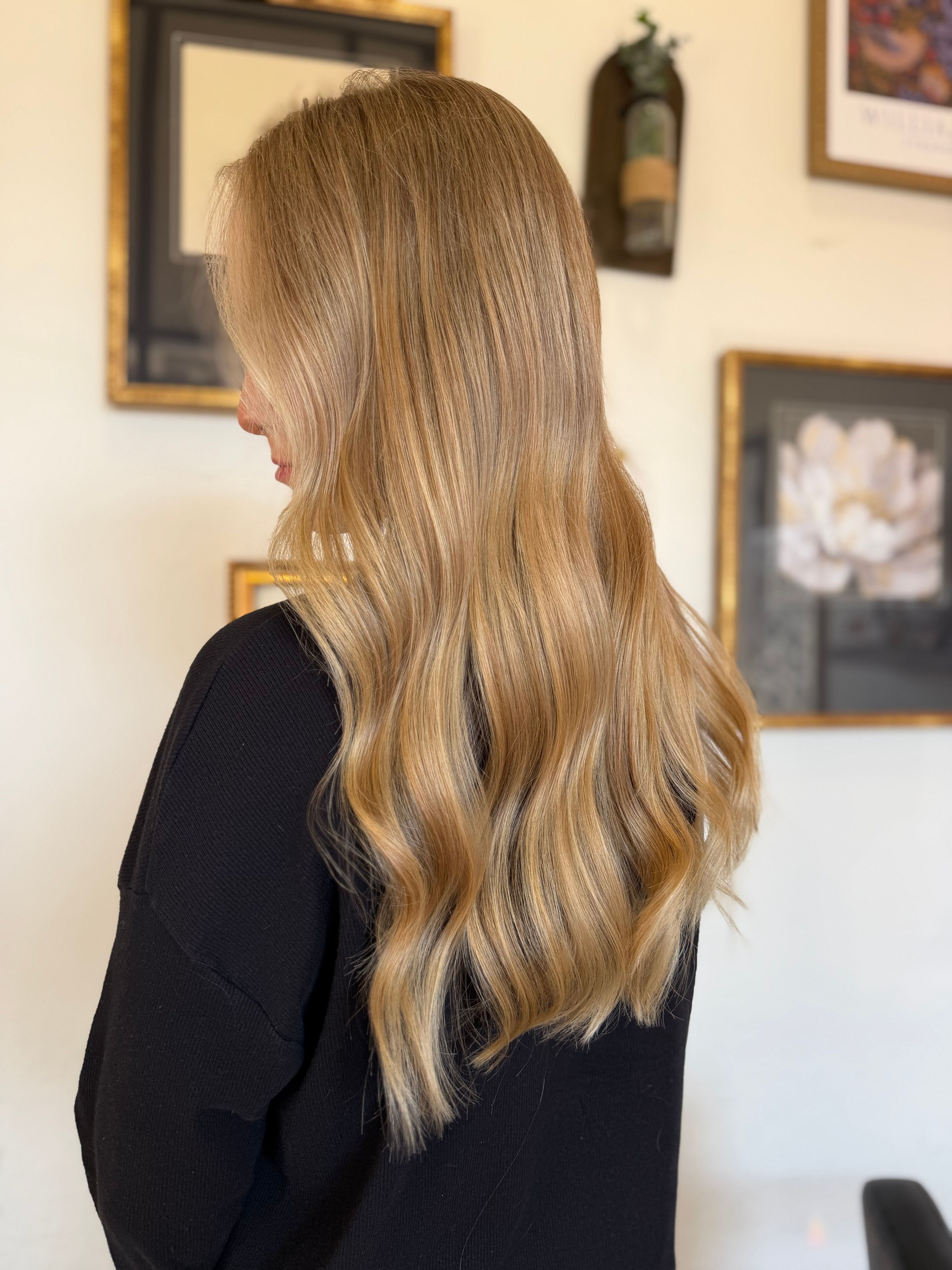 Skyeler Frett — Warm Balayage ONESHOT Hair Awards entry