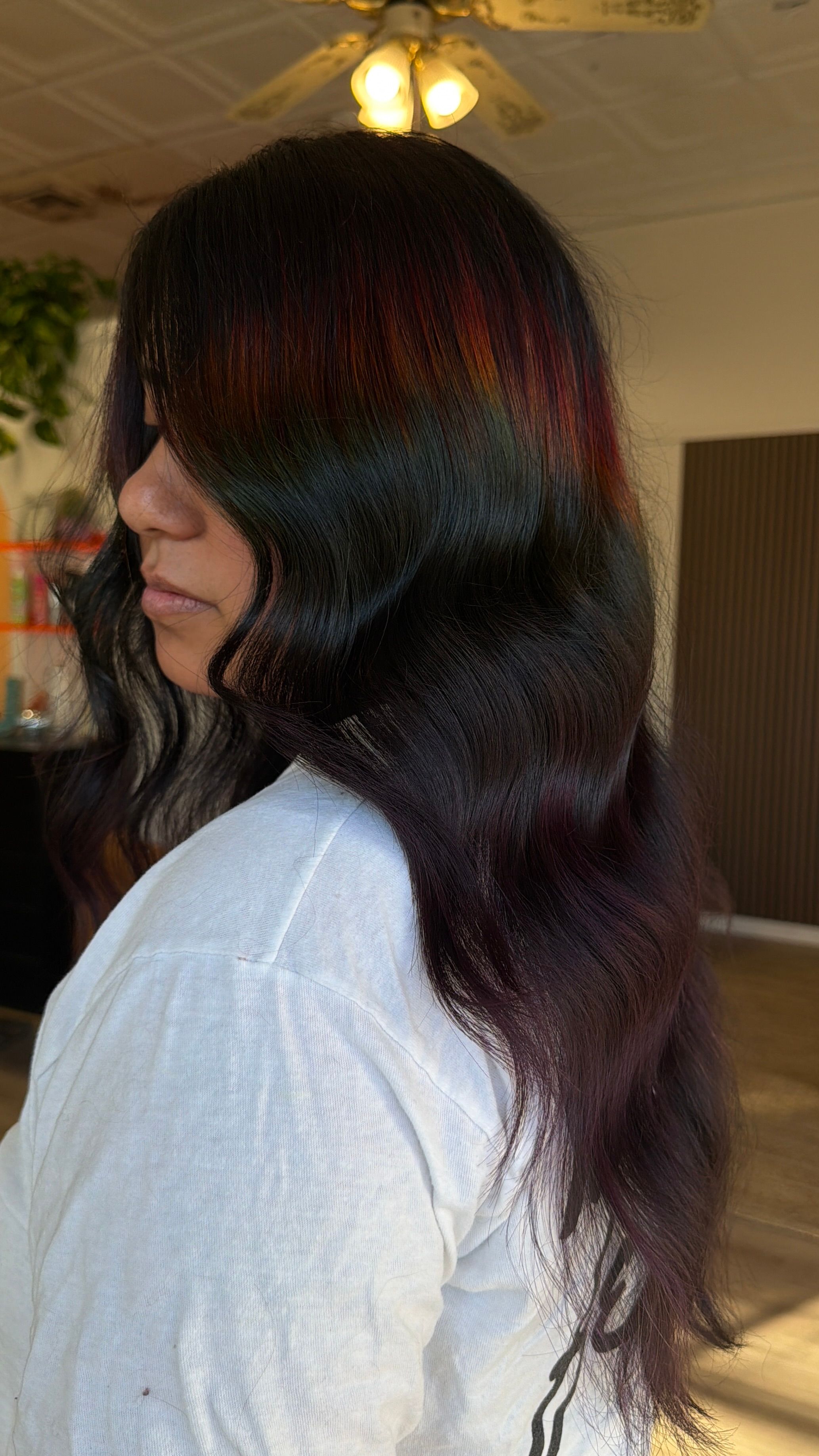 ShyAnn Carroll — Creative Color ONESHOT Hair Awards entry