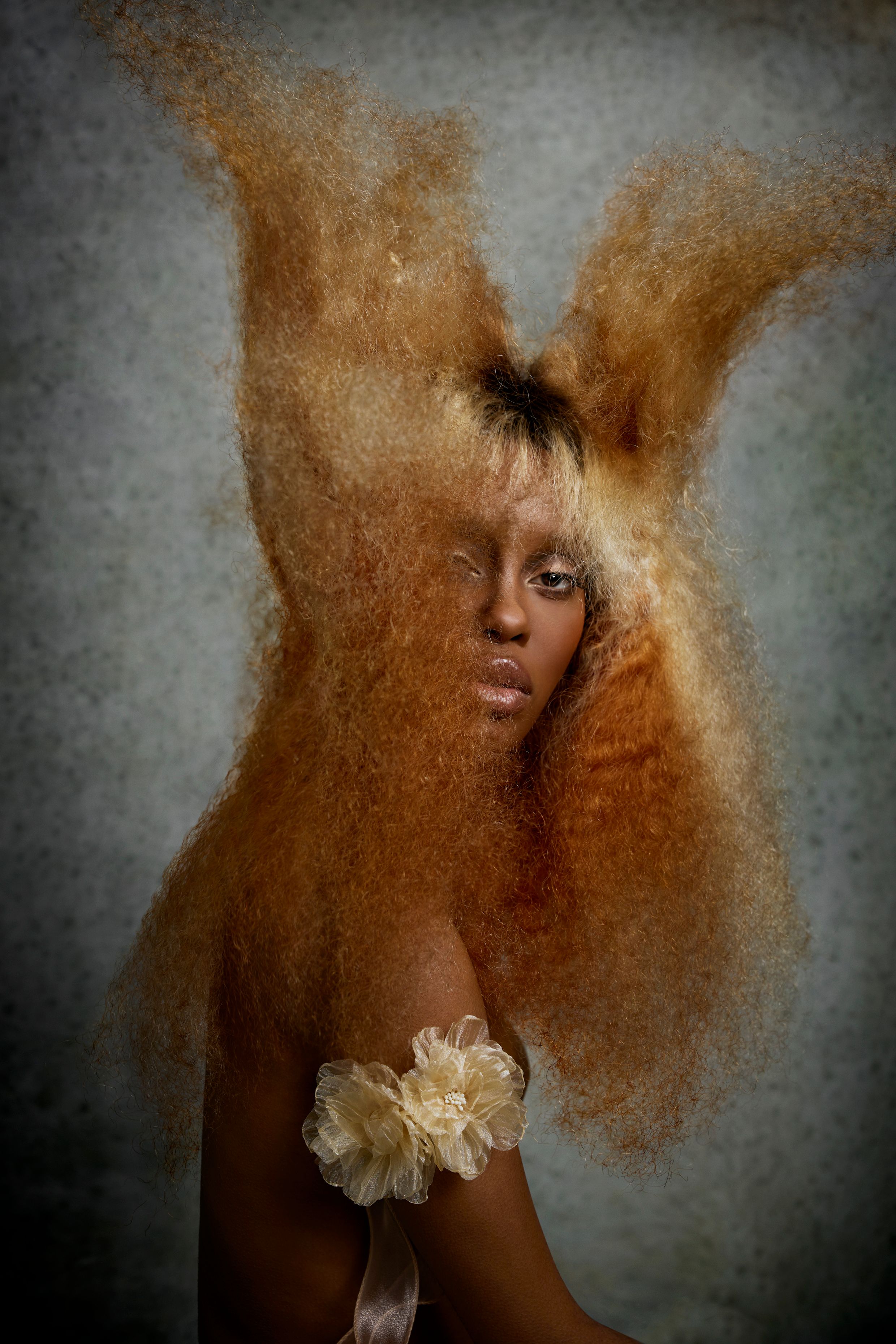 Danny Pato MNZM — Texture Collection ONESHOT Hair Awards entry