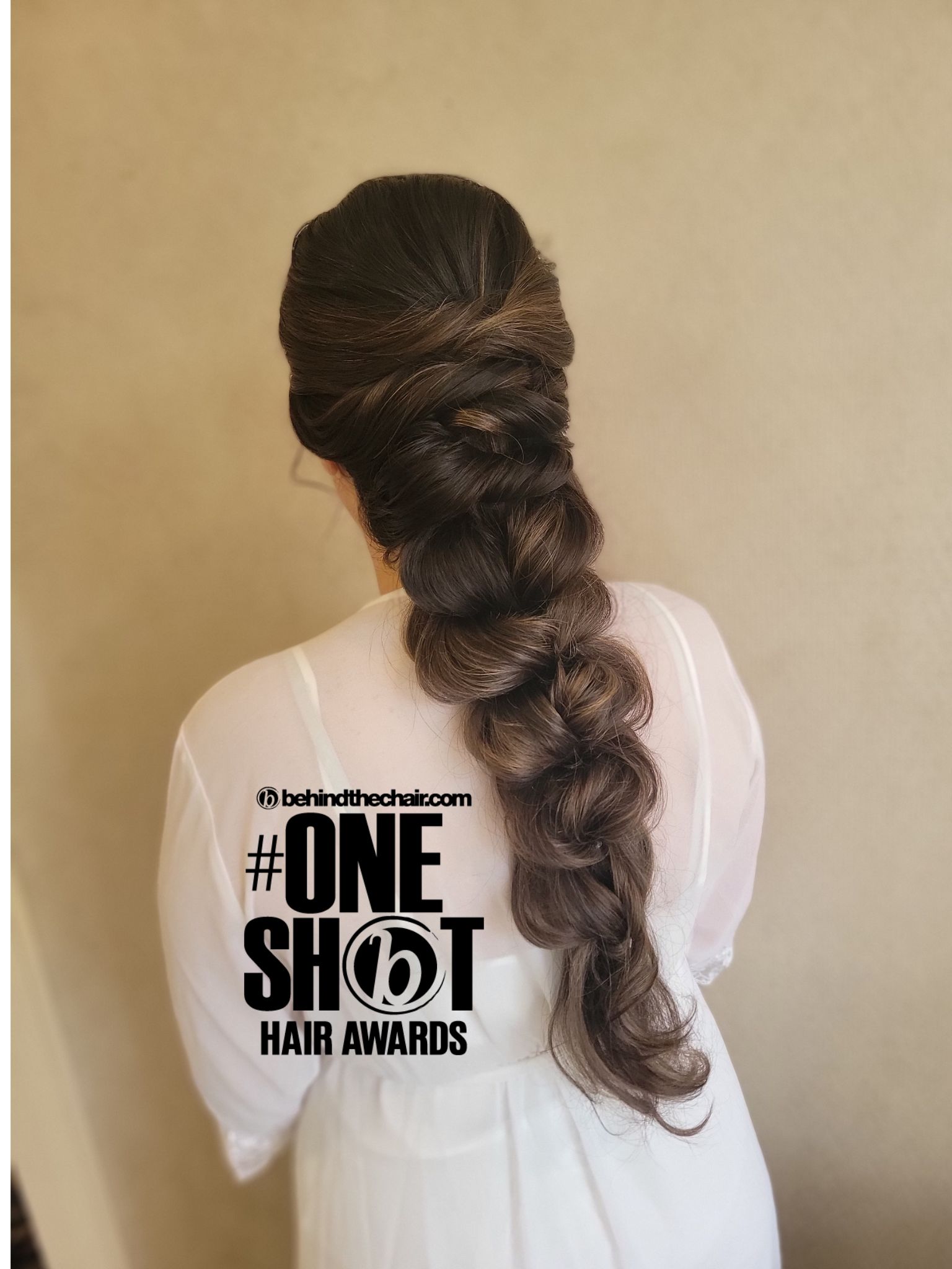 Lori Geil — Intricate Braids & Twists ONESHOT Hair Awards entry