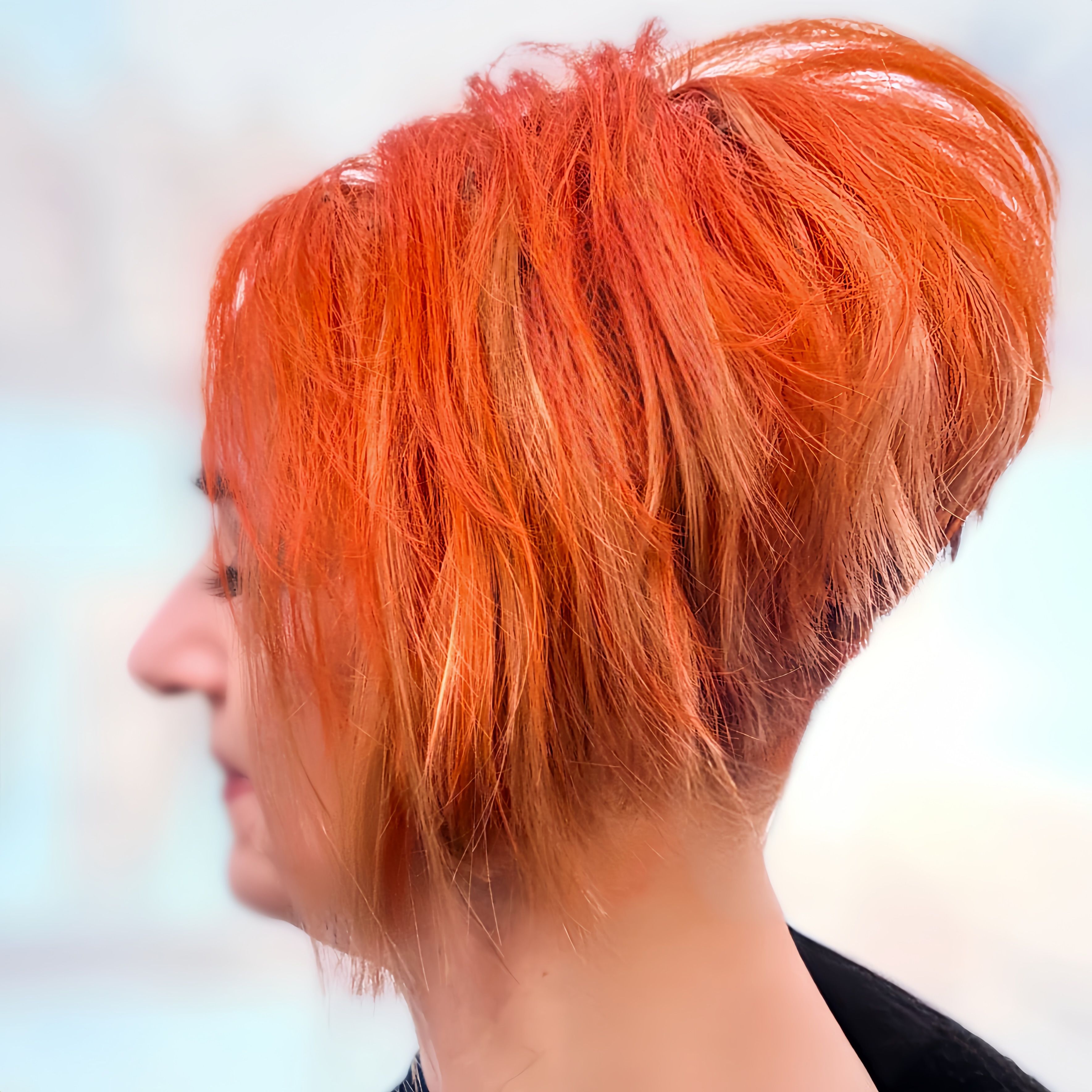 Melissa Enslen — Creative Color ONESHOT Hair Awards entry