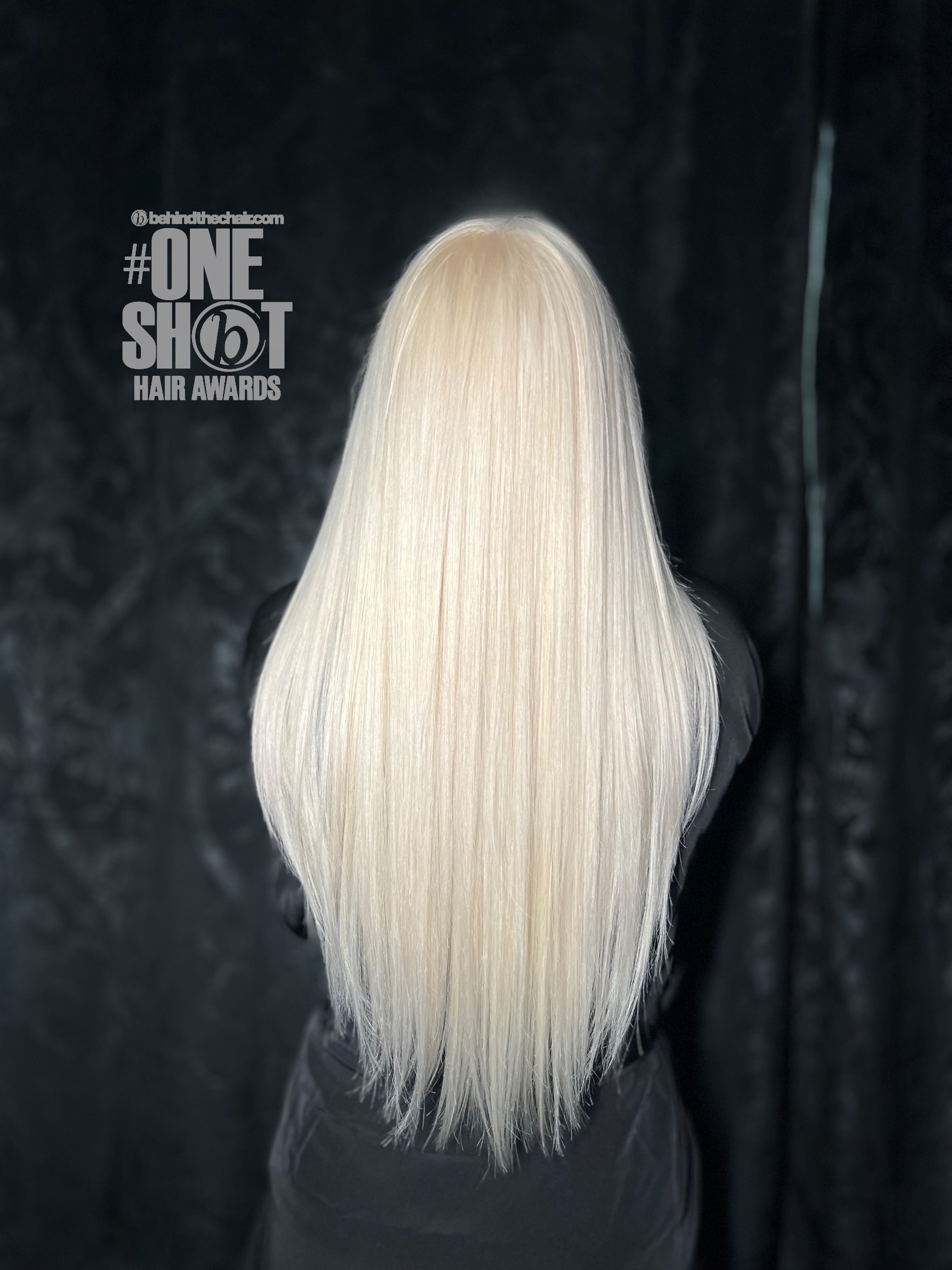 J. Melissa Sawers — Platinum ONESHOT Hair Awards entry