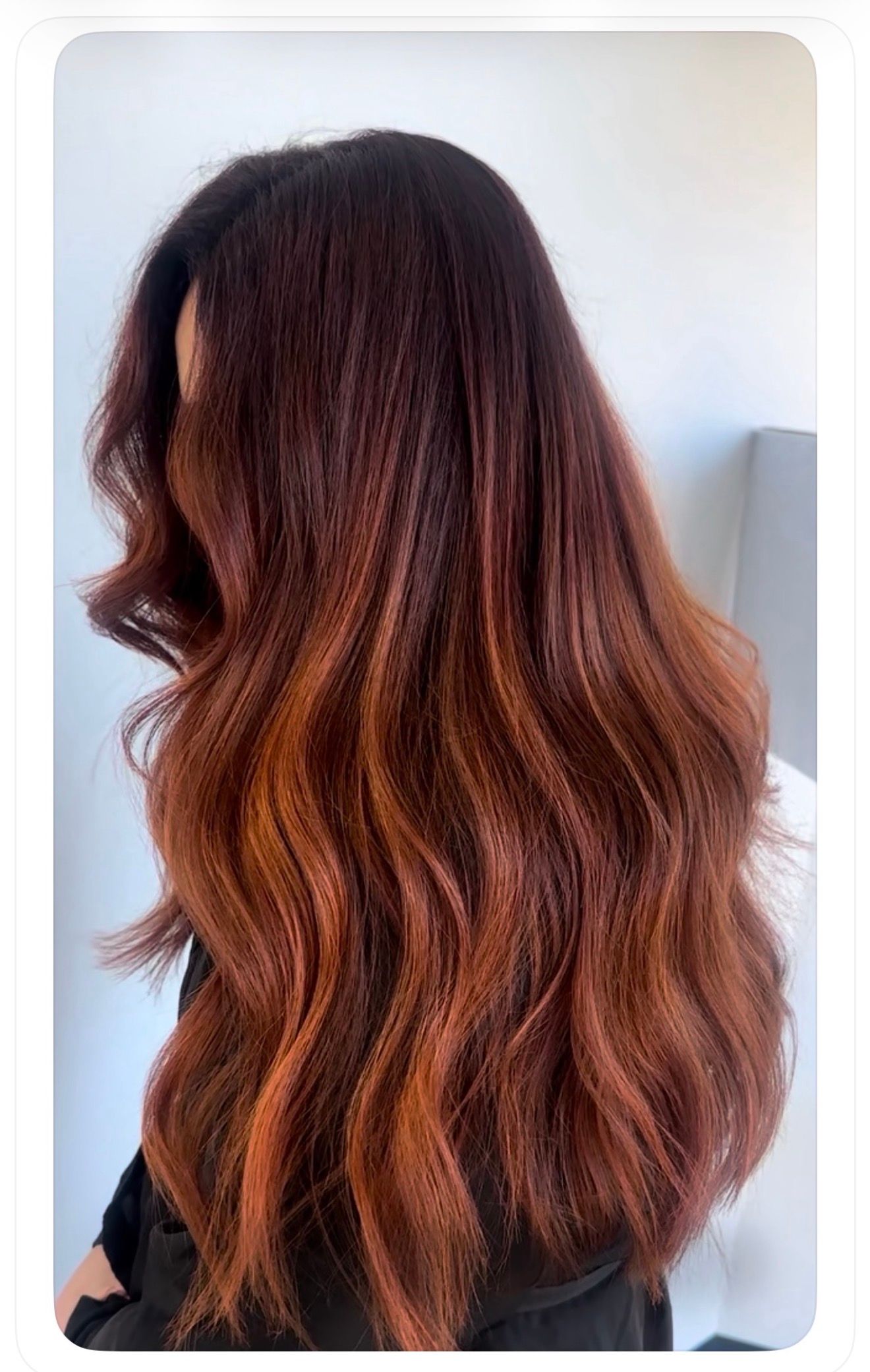 Holly Stern — Reds ONESHOT Hair Awards entry