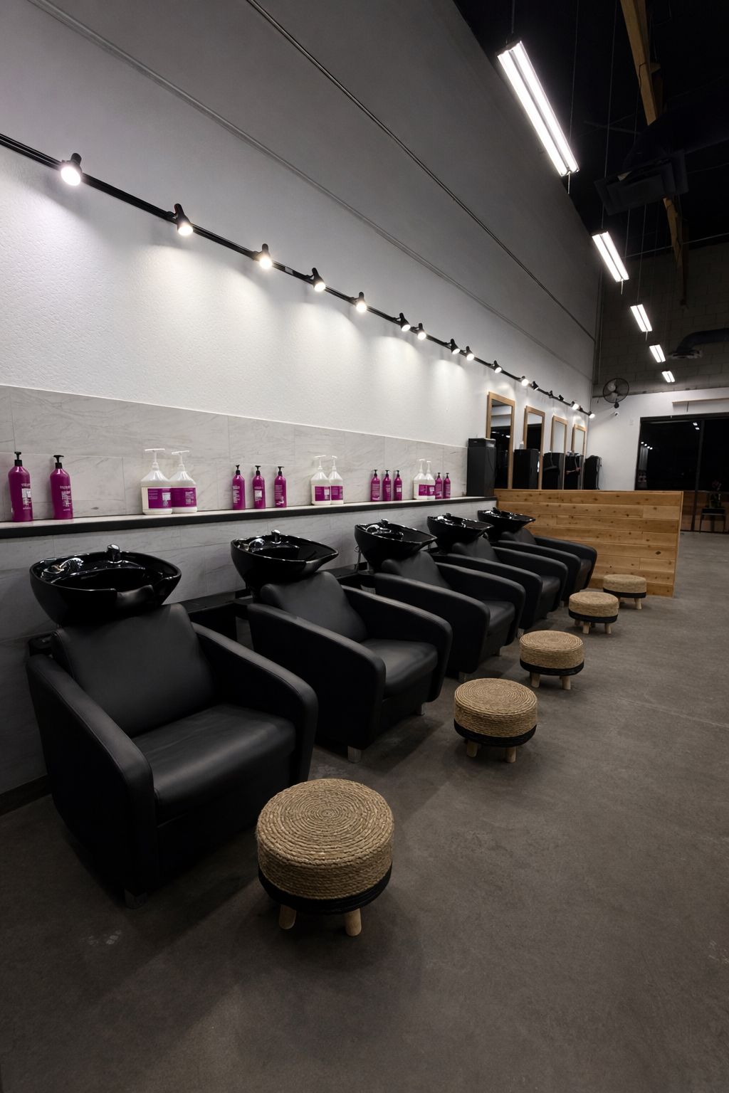 Erica Webb — Salon Decor ONESHOT Hair Awards entry