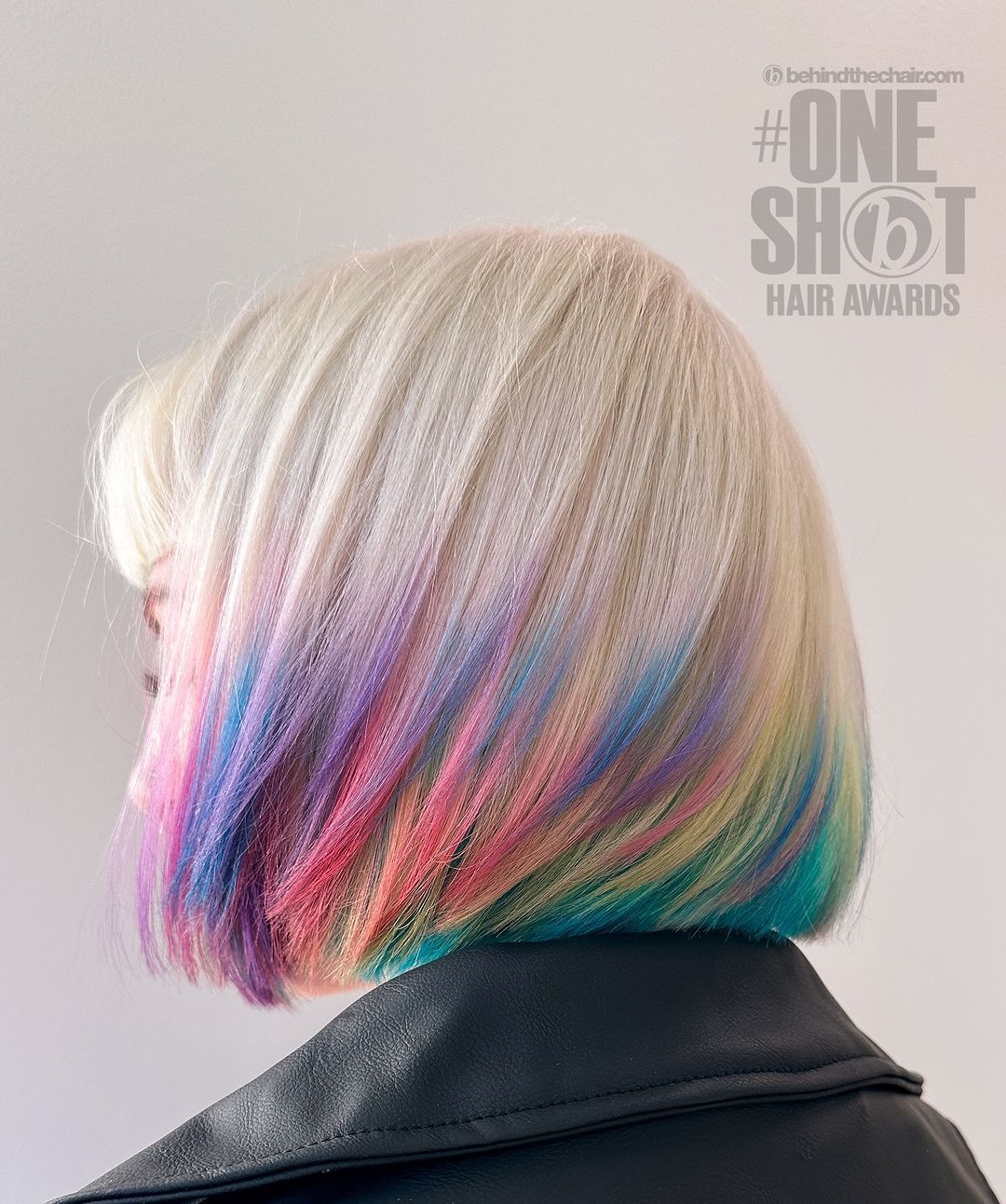 Liz Cook — Creative Color ONESHOT Hair Awards entry