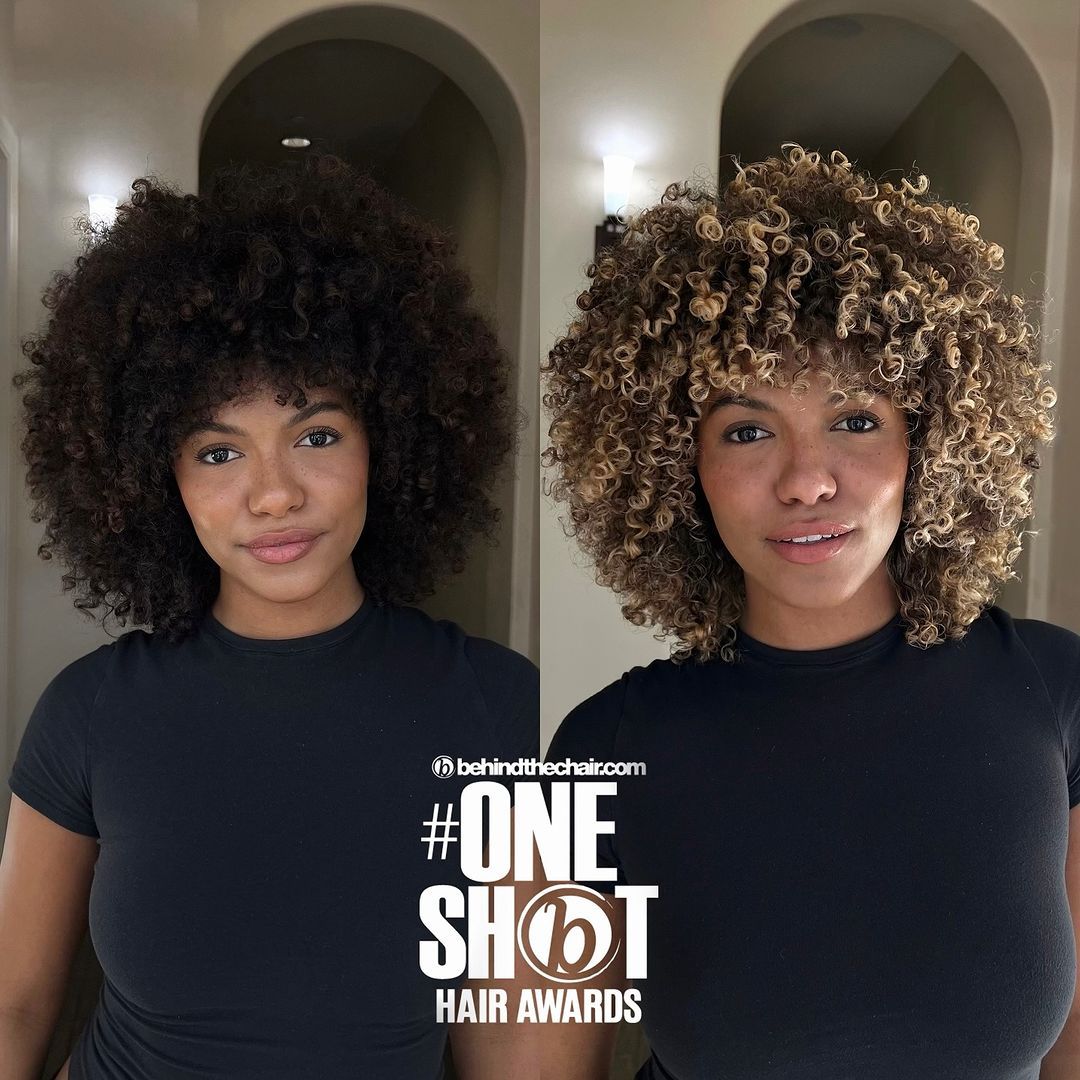 Desiree Johnson — Color Transformation ONESHOT Hair Awards entry