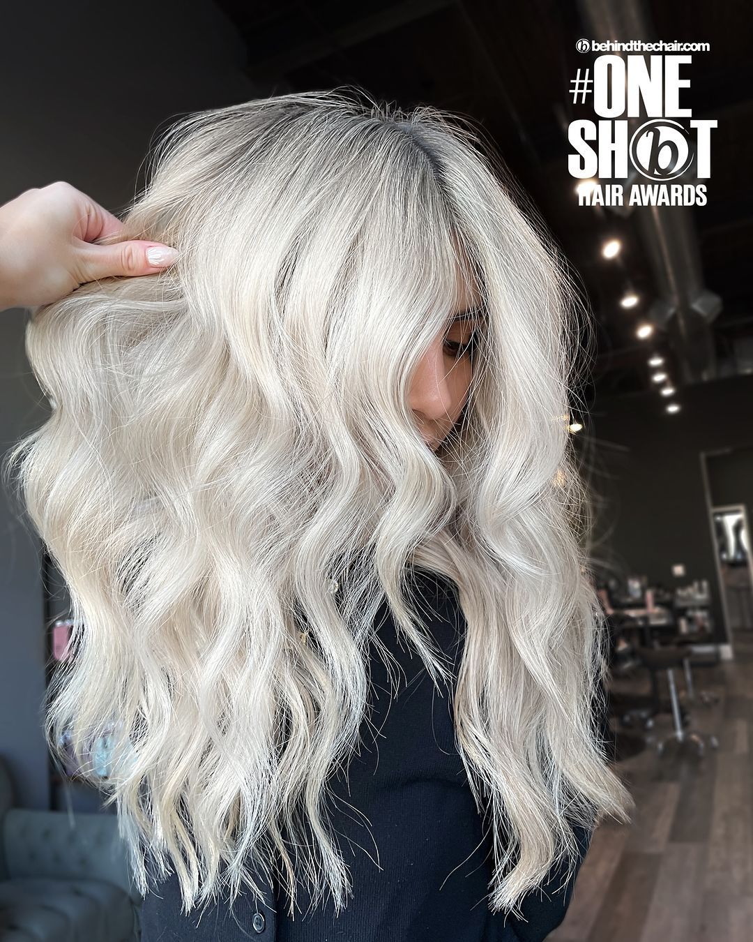 Briankablended-Duplicate — Platinum ONESHOT Hair Awards entry