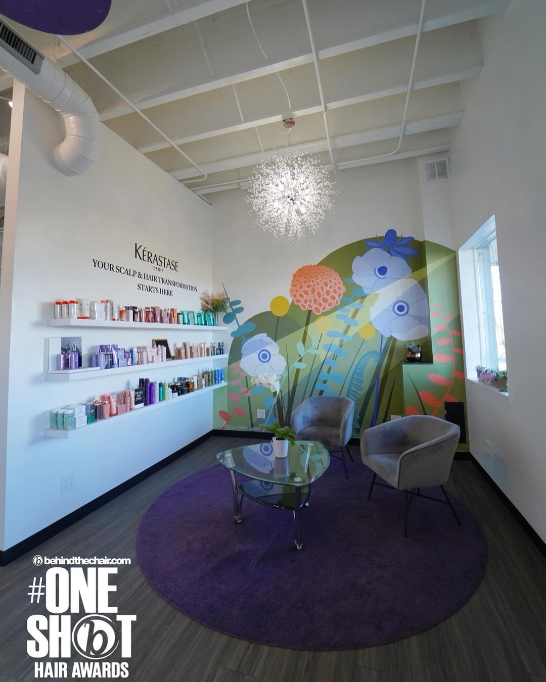 Lisa Conway — Salon Decor ONESHOT Hair Awards entry