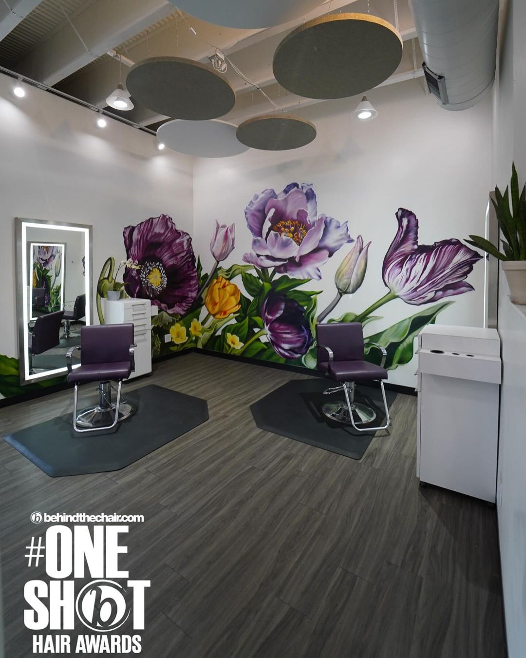 Lisa Conway — Salon Decor ONESHOT Hair Awards entry
