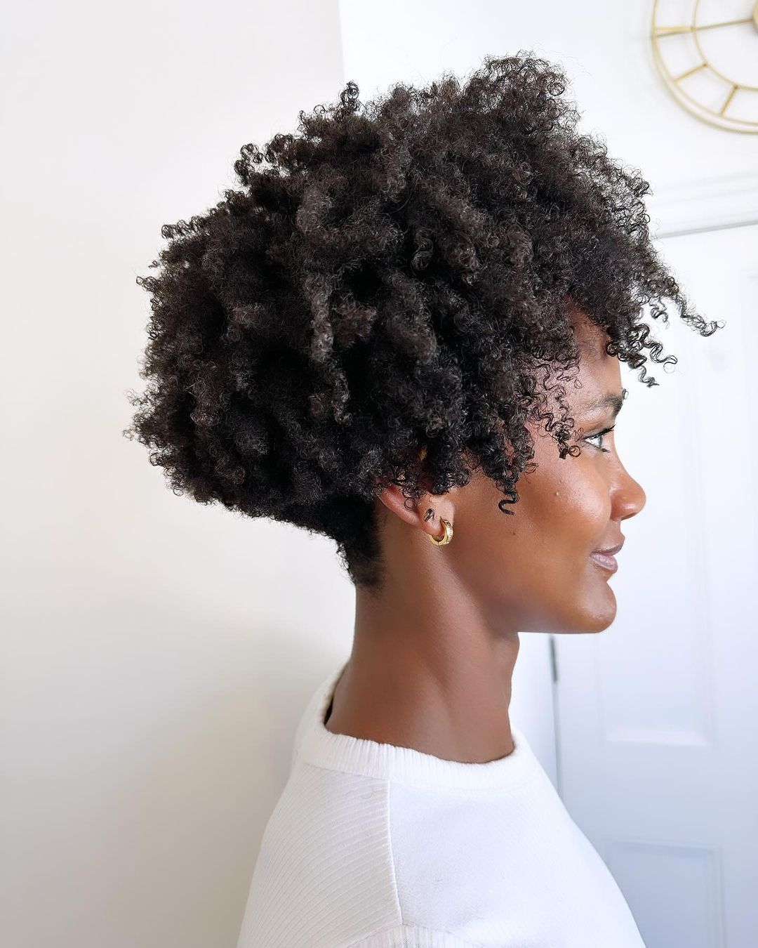 Tahni Daniels — Natural Texture ONESHOT Hair Awards entry