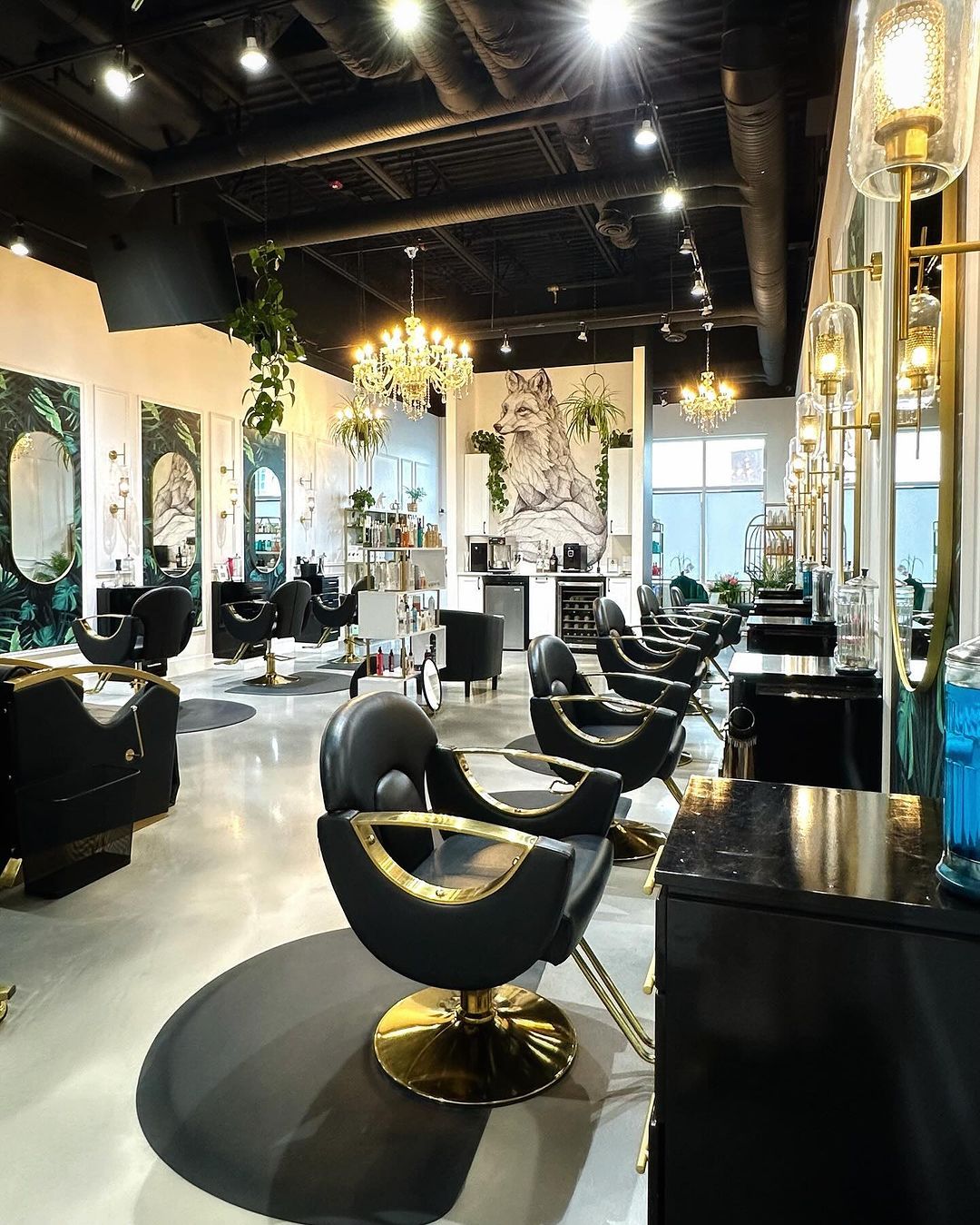 Sarah Murphy — Salon Decor ONESHOT Hair Awards entry