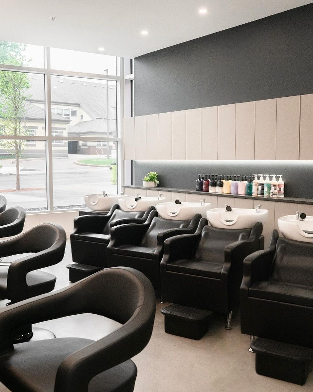 Erika Deluca — Salon Decor ONESHOT Hair Awards entry