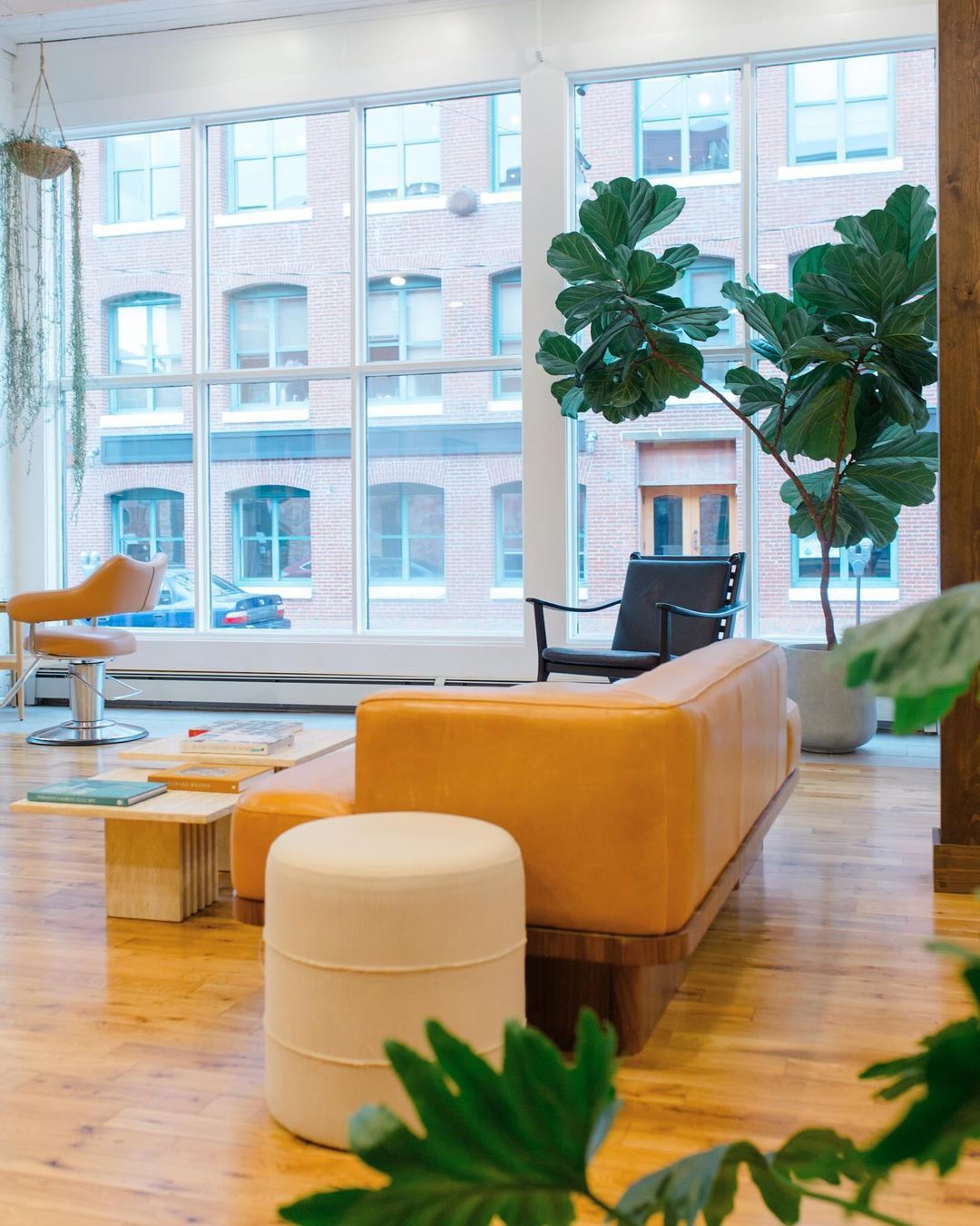 Eunoiaportland — Salon Decor ONESHOT Hair Awards entry