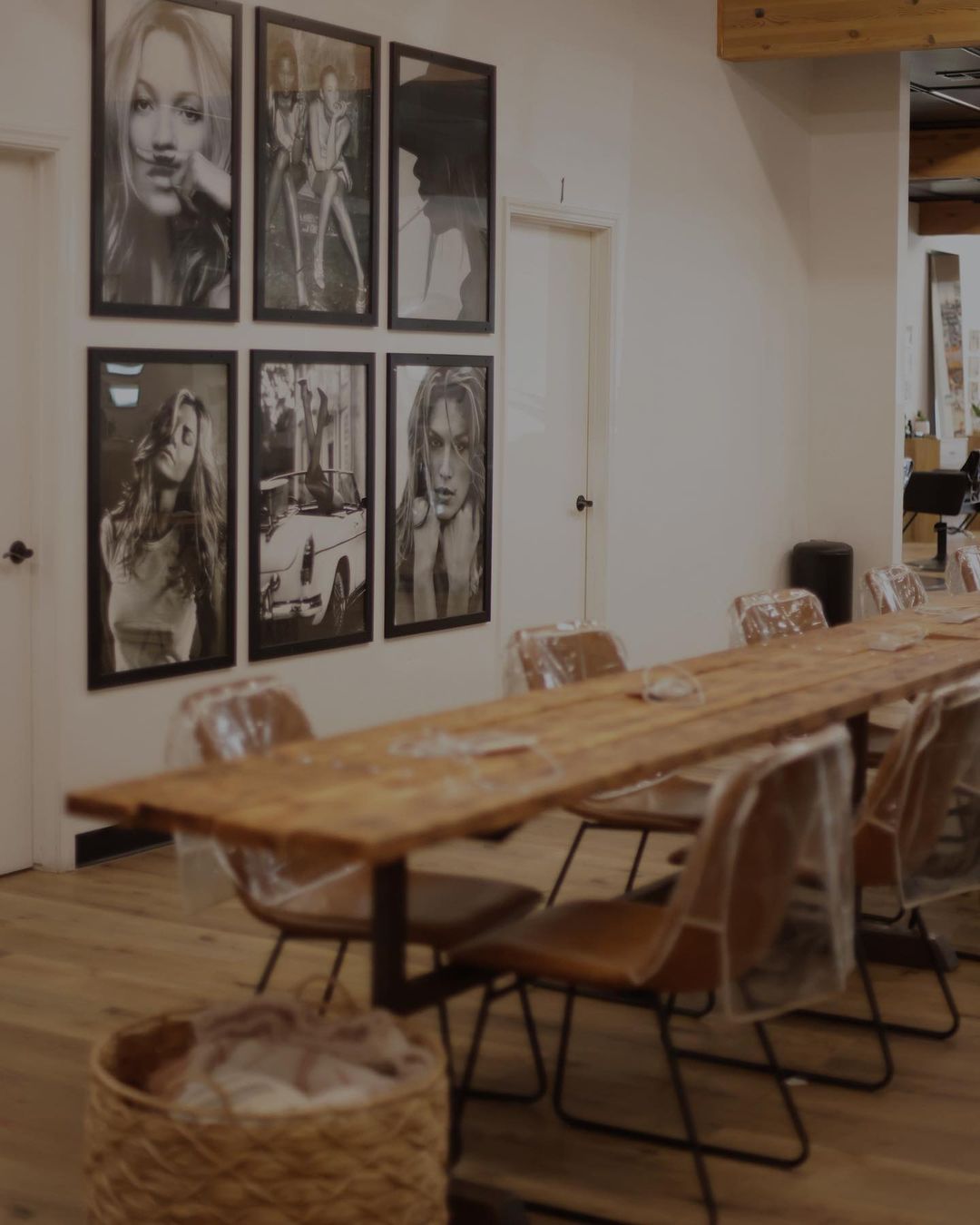 Megan King — Salon Decor ONESHOT Hair Awards entry