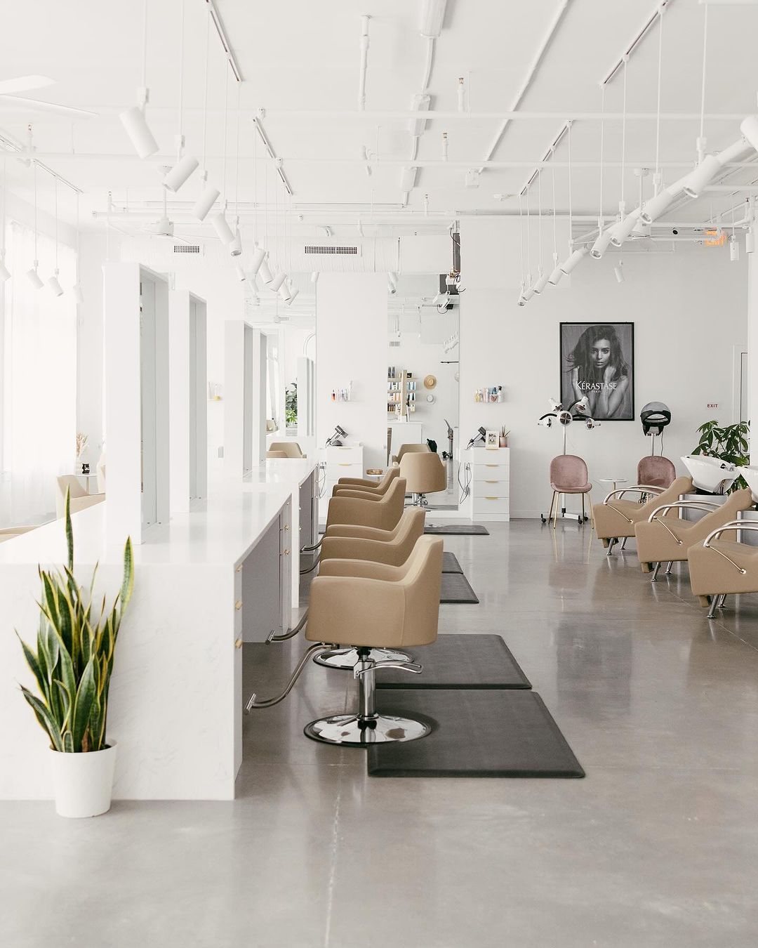 Nurosehairco — Salon Decor ONESHOT Hair Awards entry