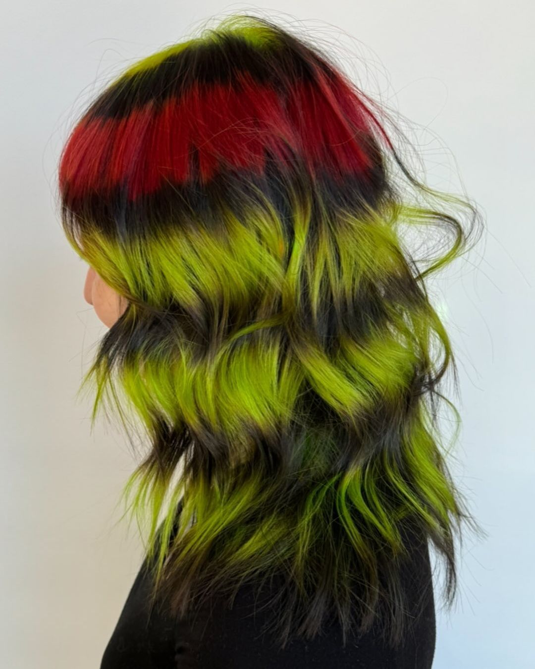 Emily 'walter' — Color Blocking ONESHOT Hair Awards entry