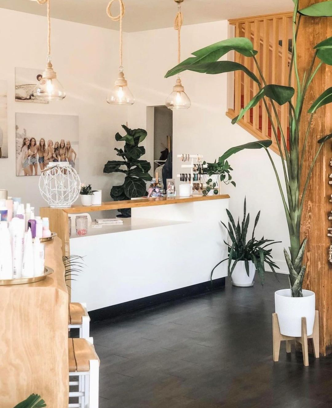 The Bungle Kc Novello — Salon Decor ONESHOT Hair Awards entry
