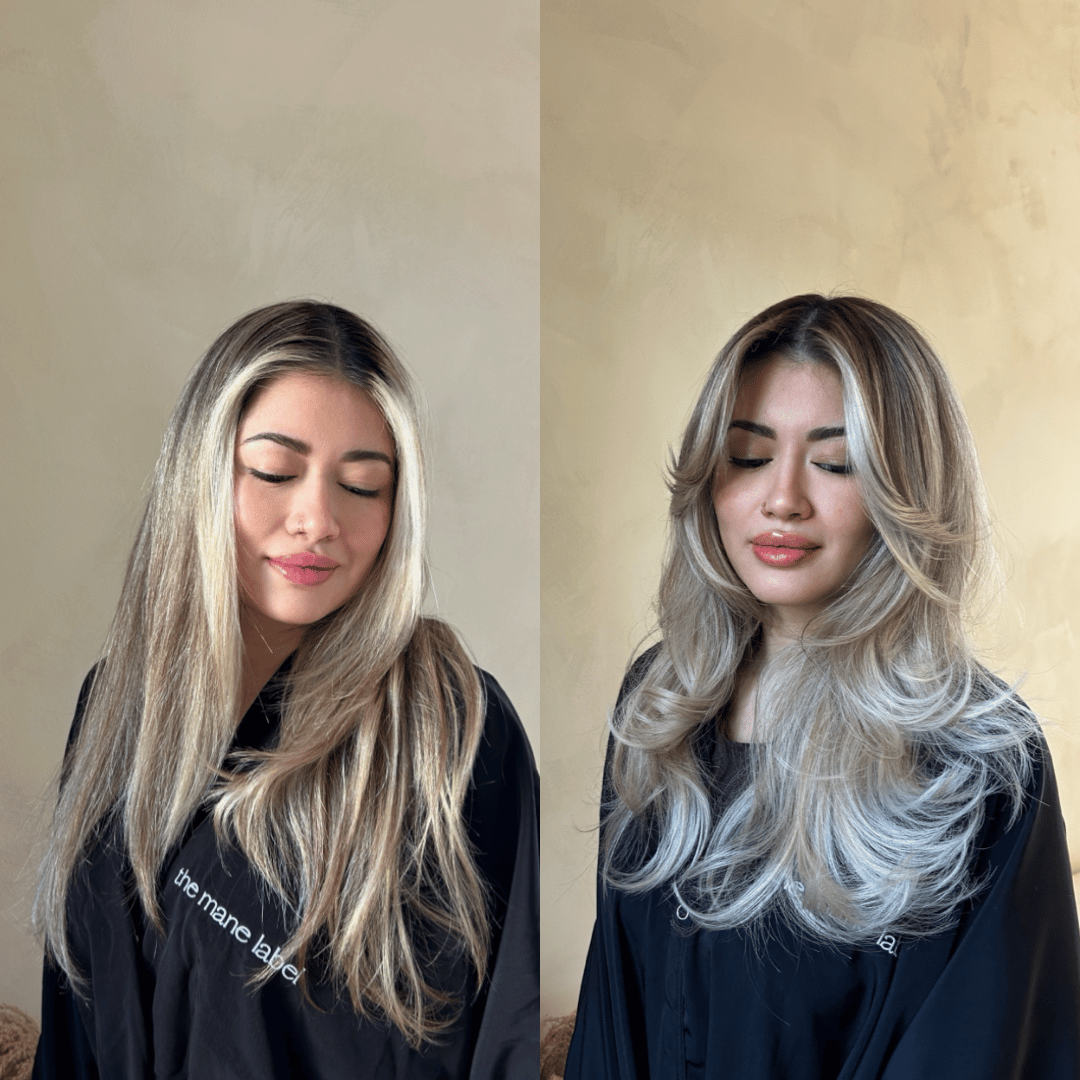 Dana Gomez — Color Transformation ONESHOT Hair Awards entry