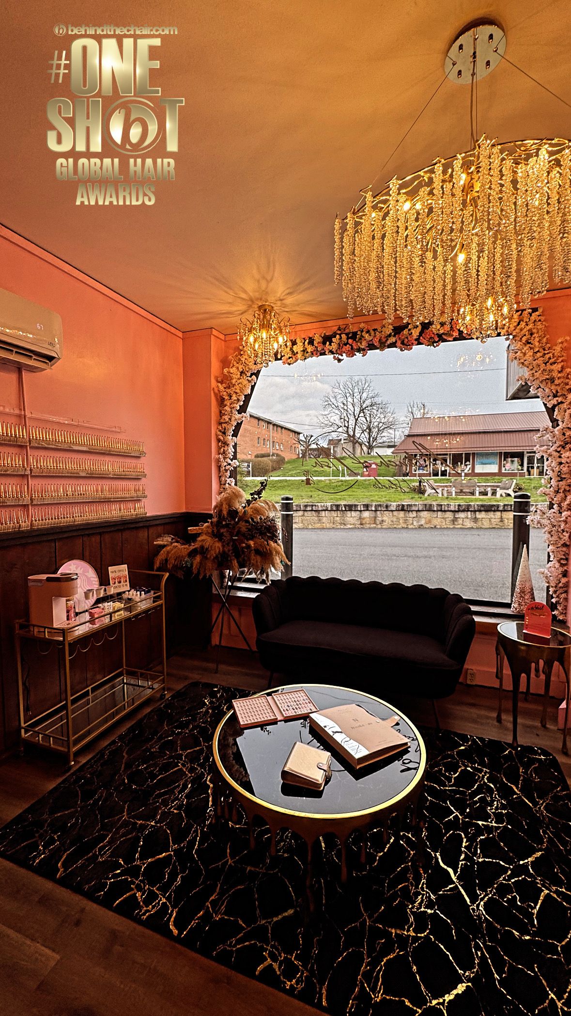 Ashtan Hess — Salon Decor ONESHOT Hair Awards entry