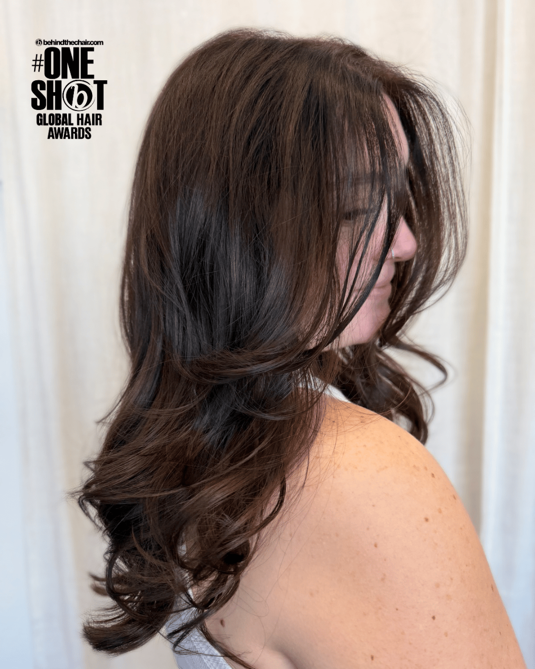 Britney Fahy — Brunettes ONESHOT Hair Awards entry