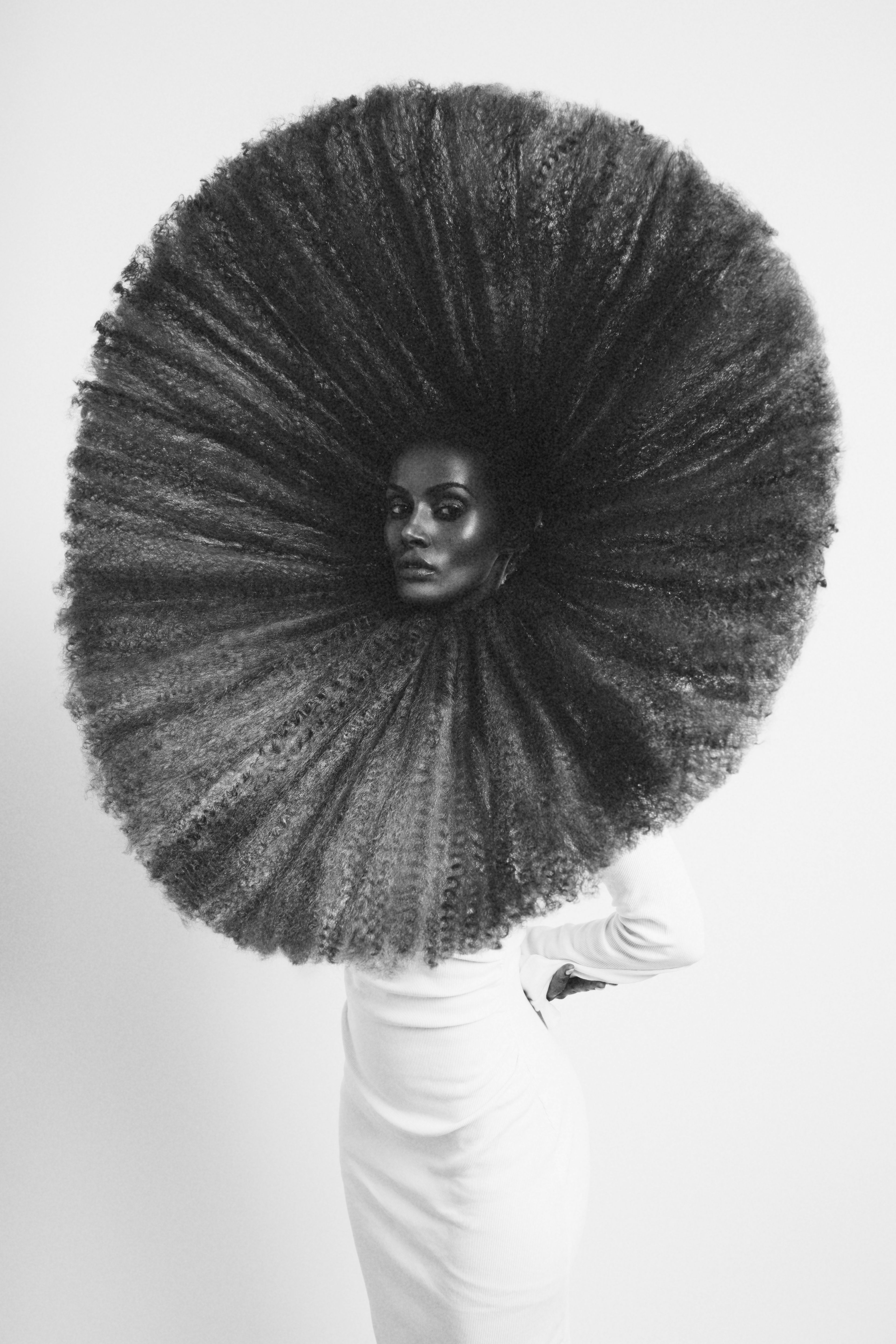 Cassie Carey — Texture Collection ONESHOT Hair Awards entry