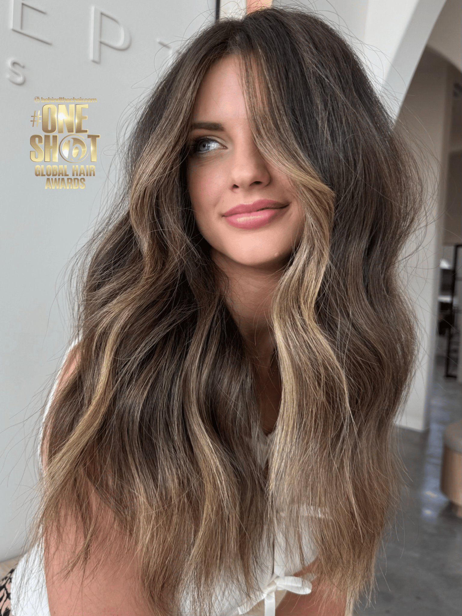 Meg Maenius — Brunettes ONESHOT Hair Awards entry