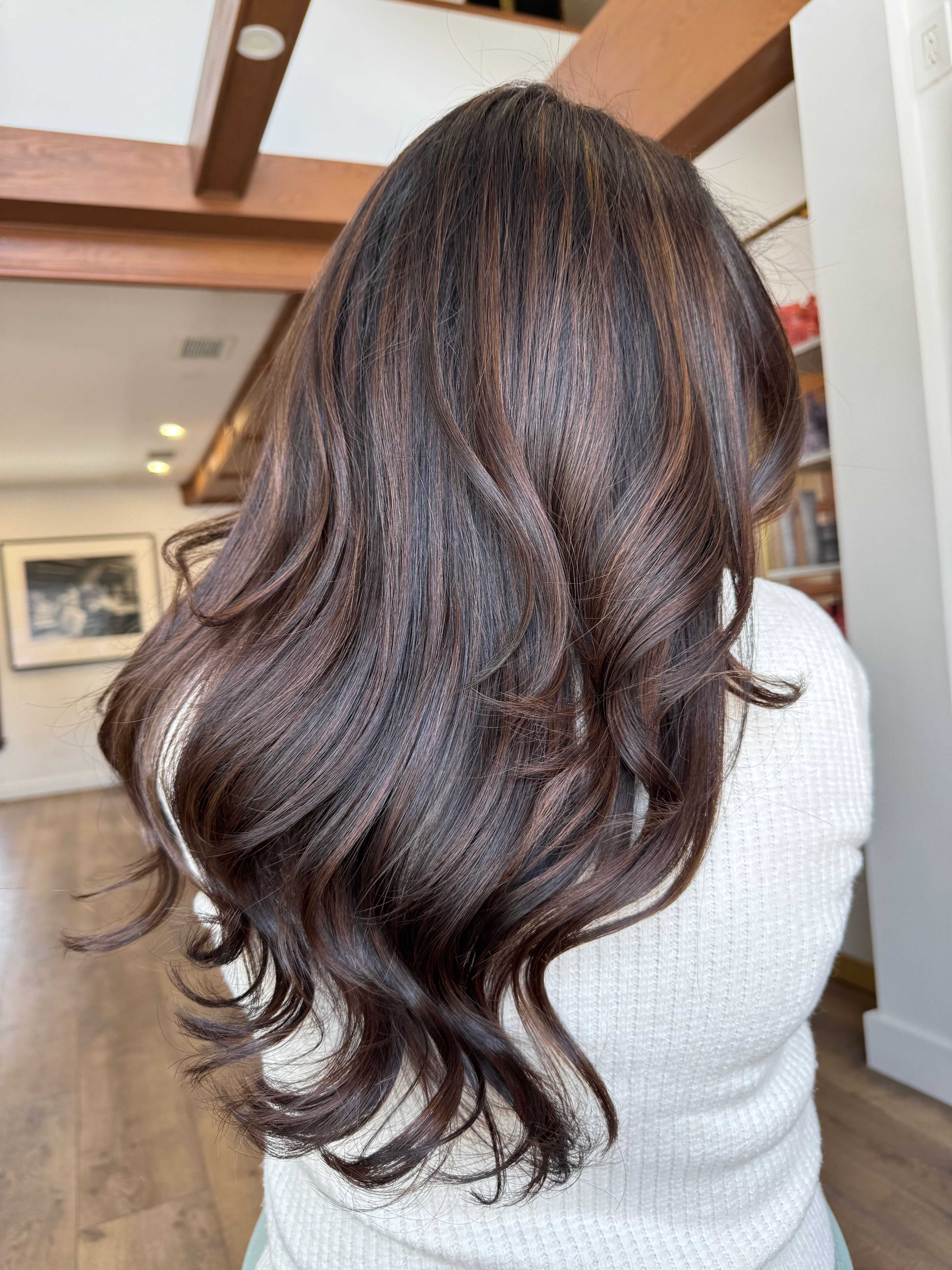 Najvia Khan — Brunettes ONESHOT Hair Awards entry