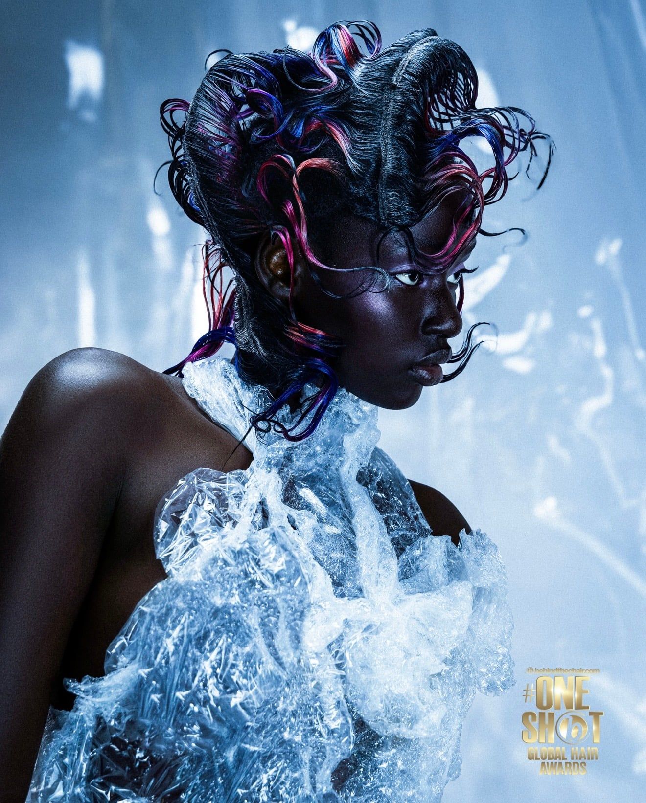 Karine Belanger — Avant-Garde Shot ONESHOT Hair Awards entry