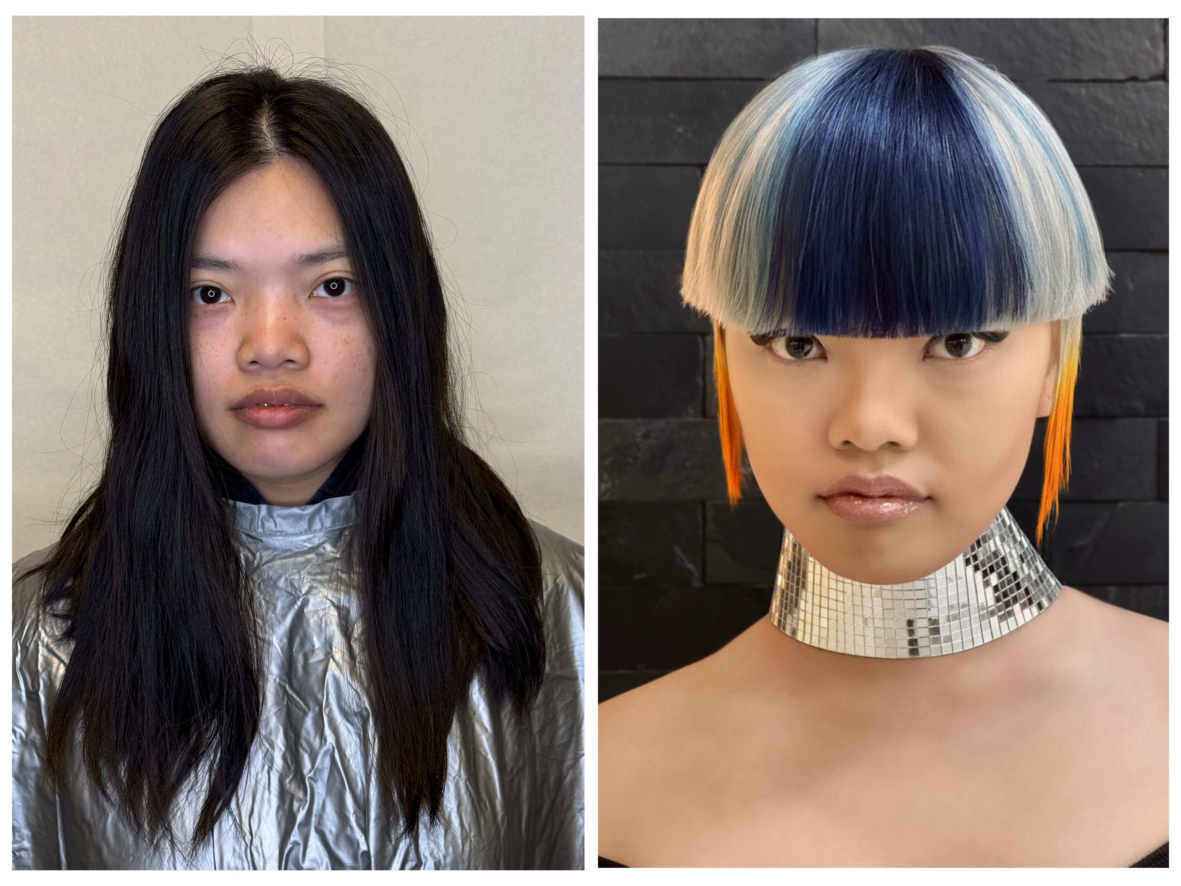 Sepideh Saba — Color Transformation ONESHOT Hair Awards entry