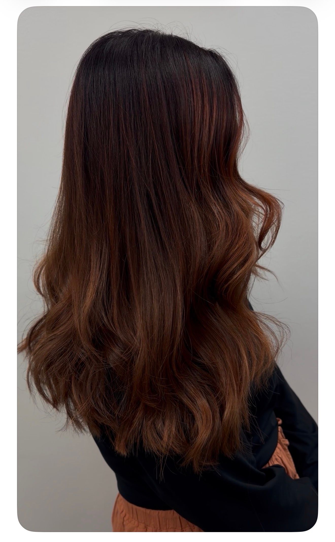 Holly Stern — Reds ONESHOT Hair Awards entry