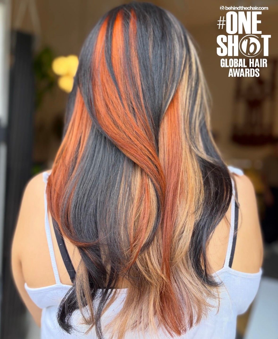Bri Chiu — Color Blocking ONESHOT Hair Awards entry