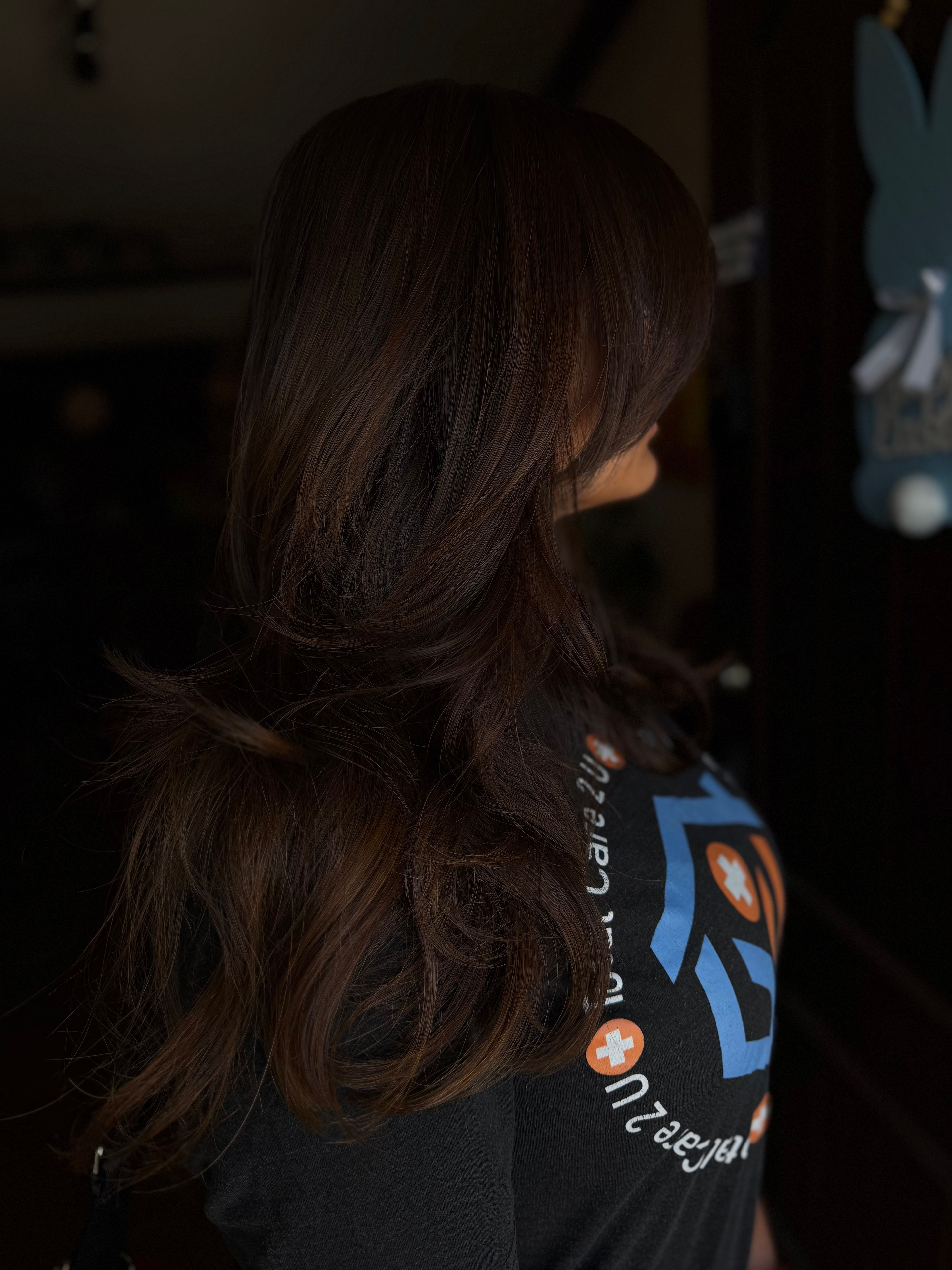 Ashley Santos — Brunettes ONESHOT Hair Awards entry