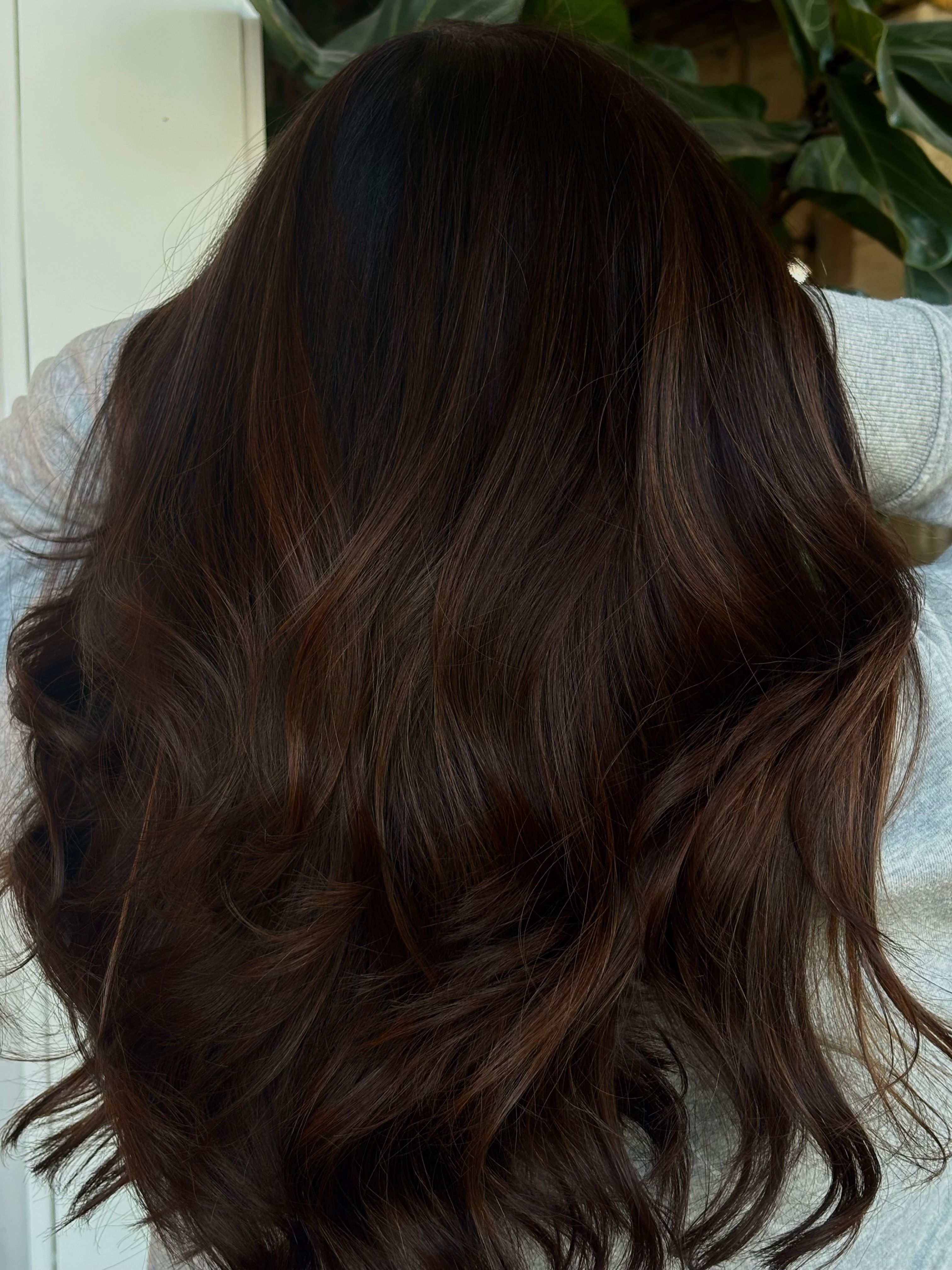 Olivia Biddix — Brunettes ONESHOT Hair Awards entry
