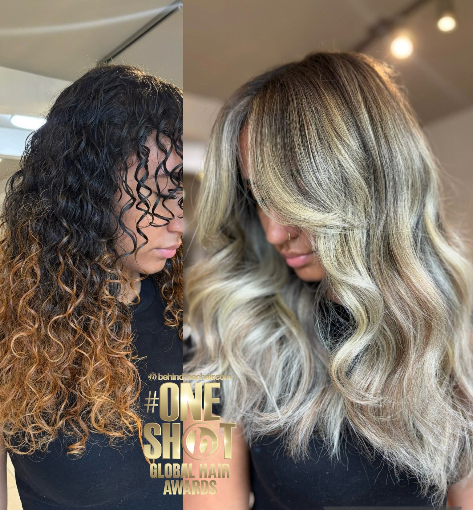 Briesha Hidalgo-Diaz — Color Transformation ONESHOT Hair Awards entry