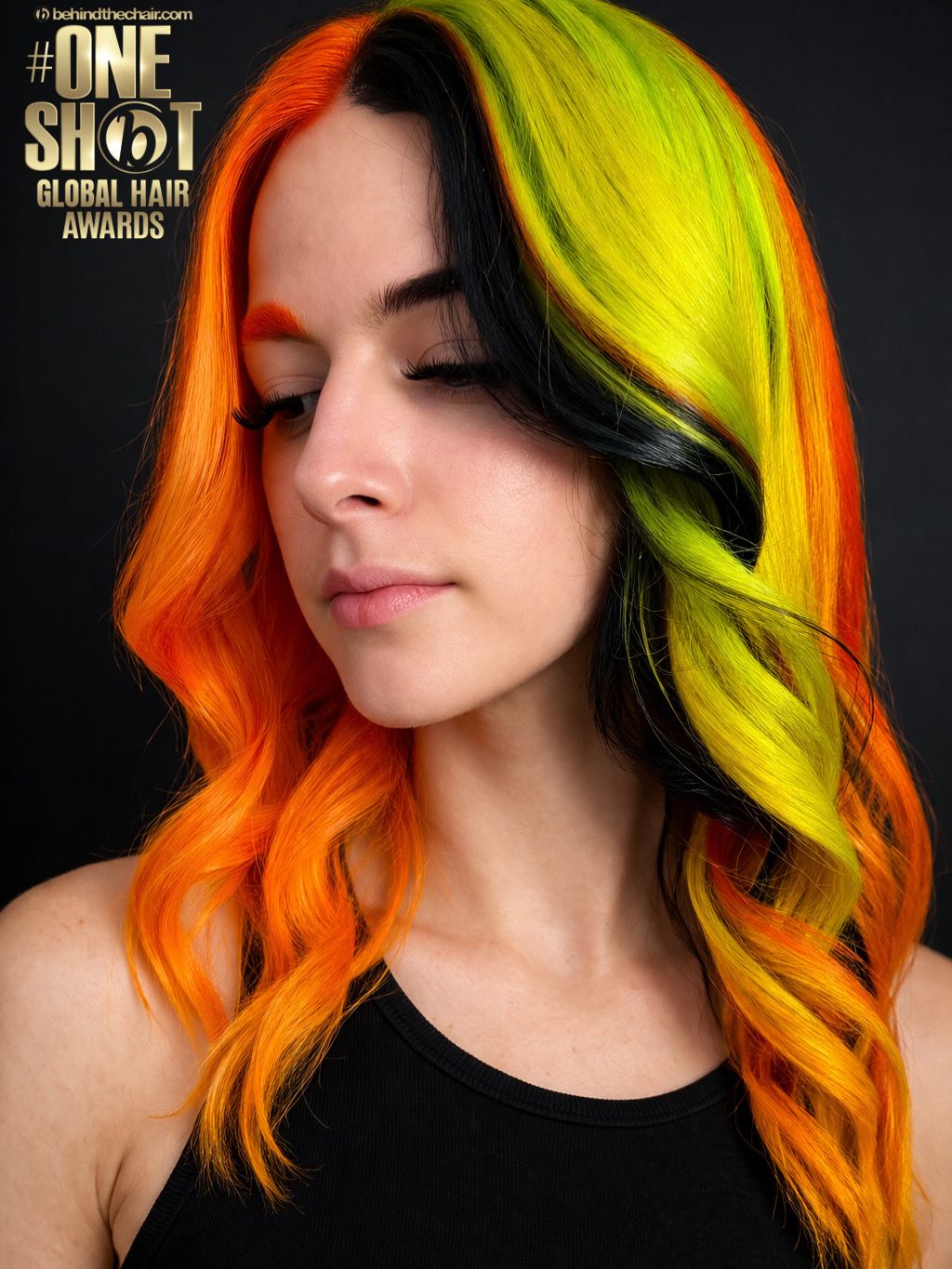 Amanda Buck McAbee — Color Blocking ONESHOT Hair Awards entry